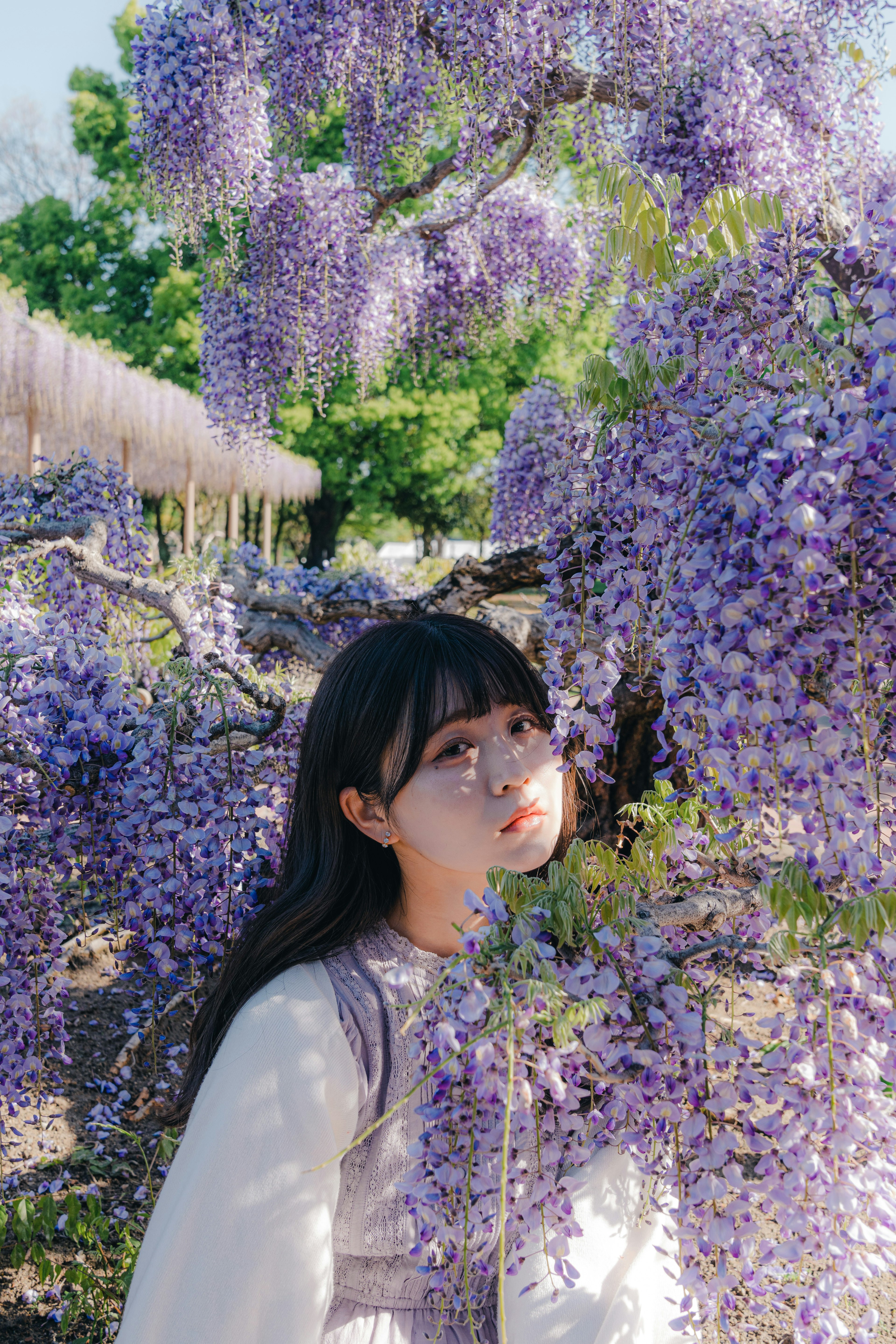 Portrait d'une jeune femme devant des fleurs de glycine violettes