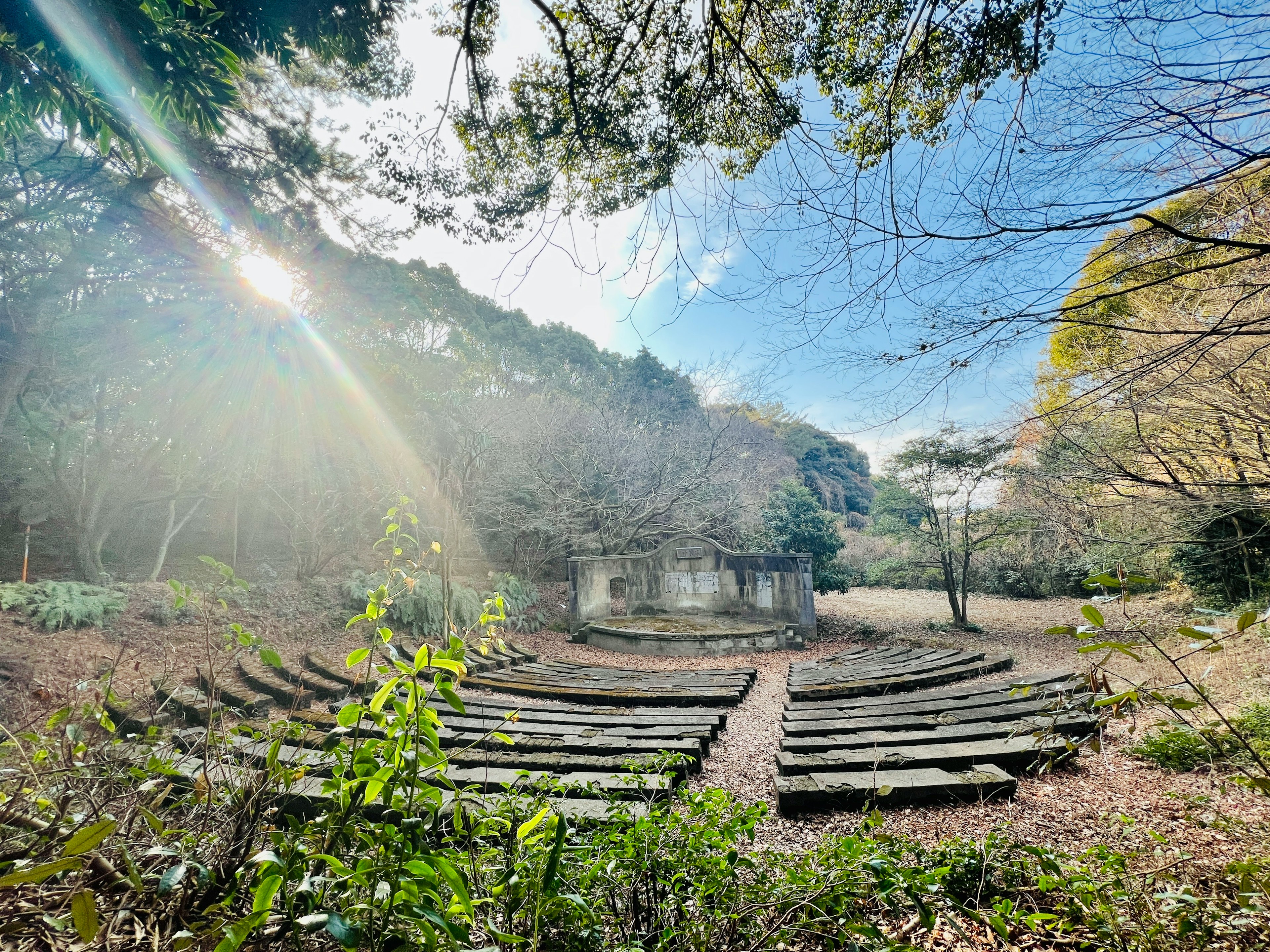 自然に囲まれた野外ステージの円形座席と木々の景色