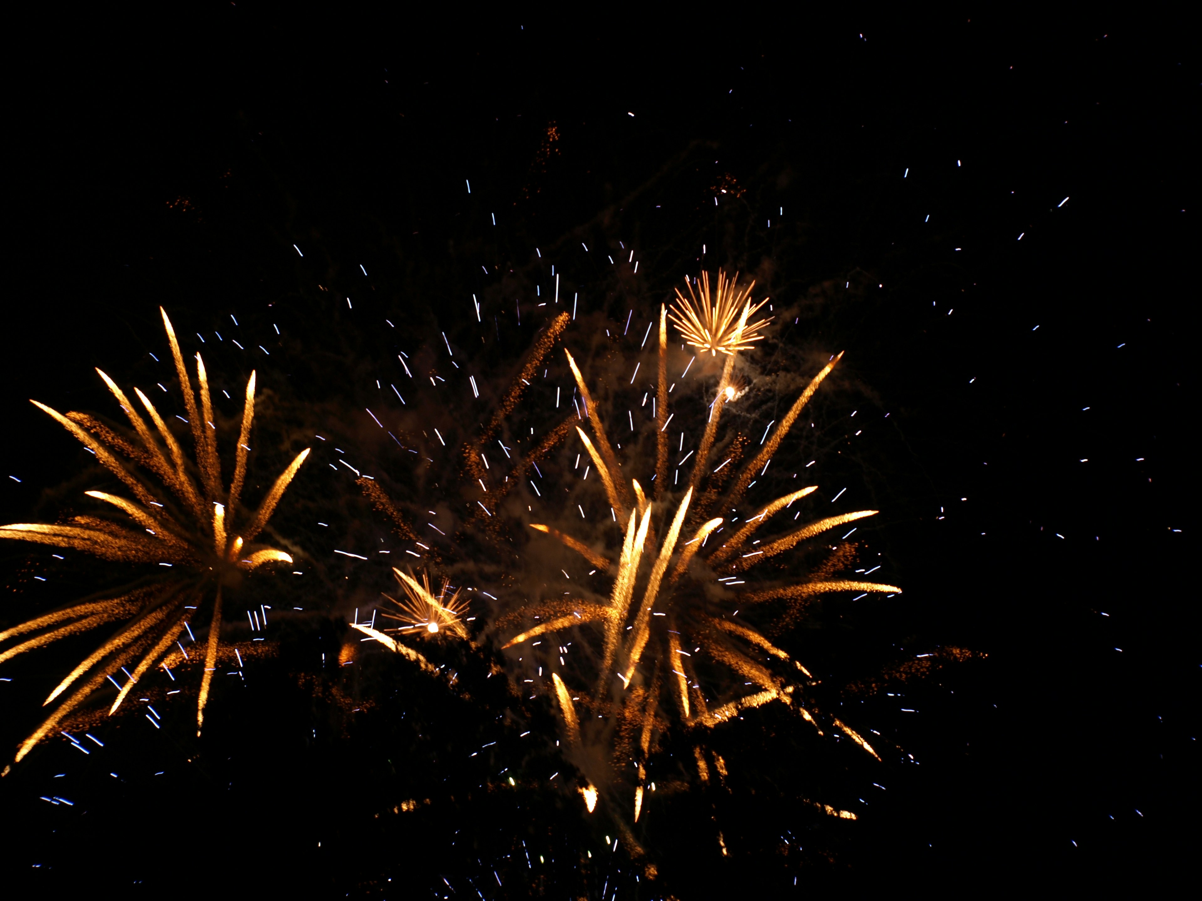 Golden fireworks bursting in the night sky