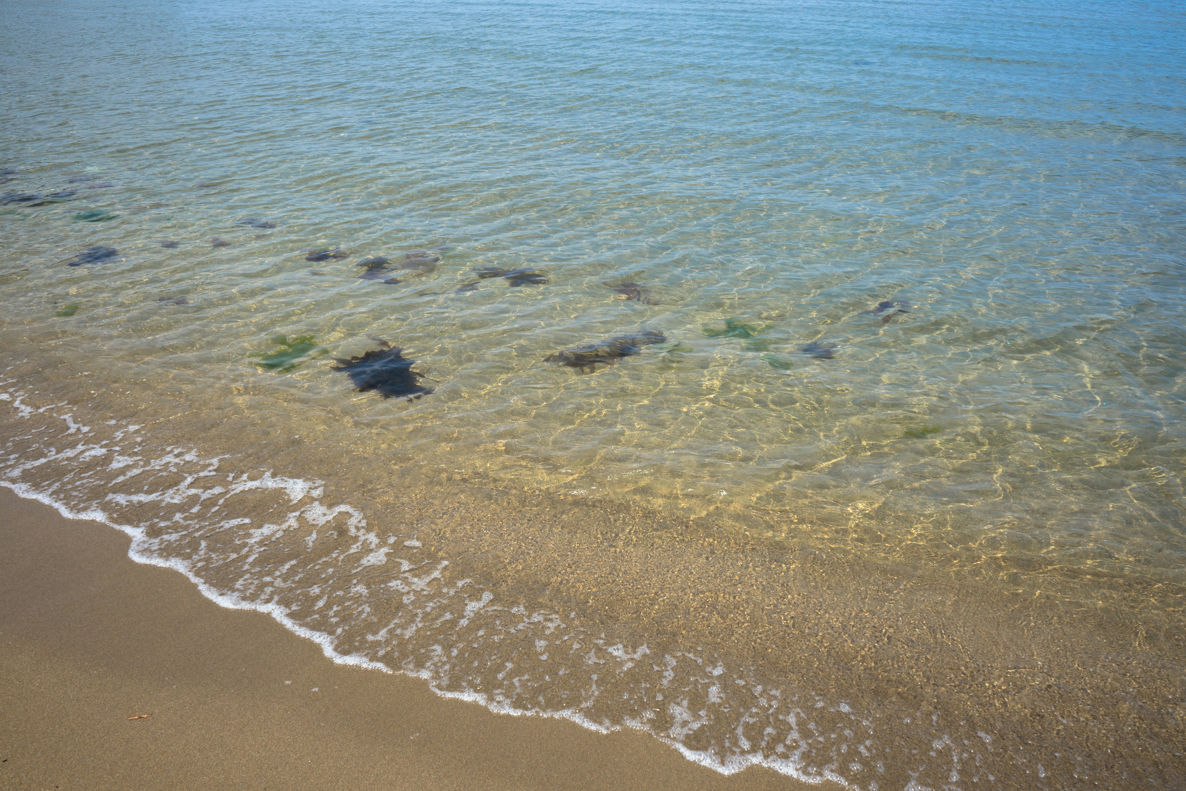 Air laut yang jernih mengalir lembut di pantai berpasir