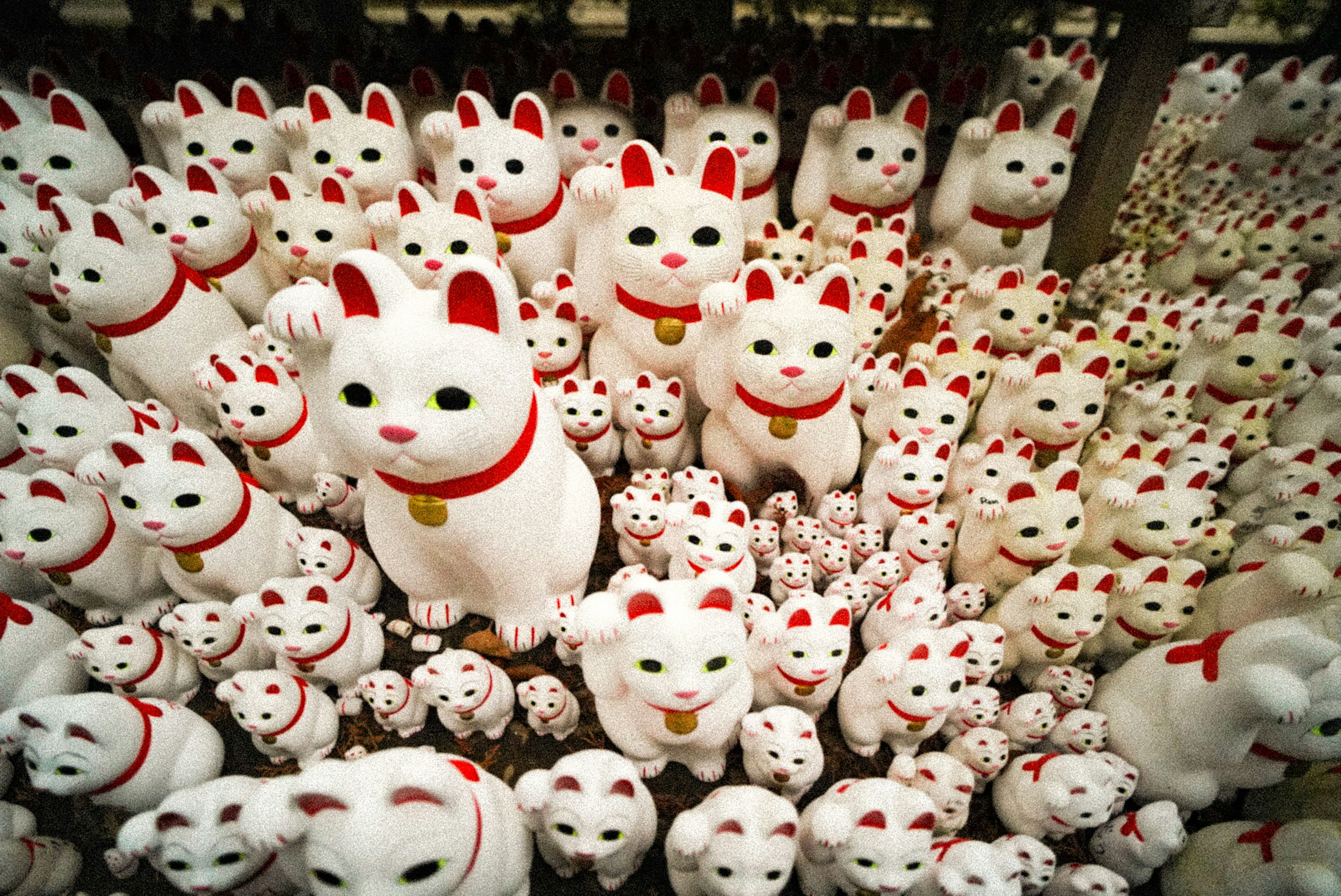 Une multitude de figurines de chats blancs avec des colliers rouges disposées ensemble