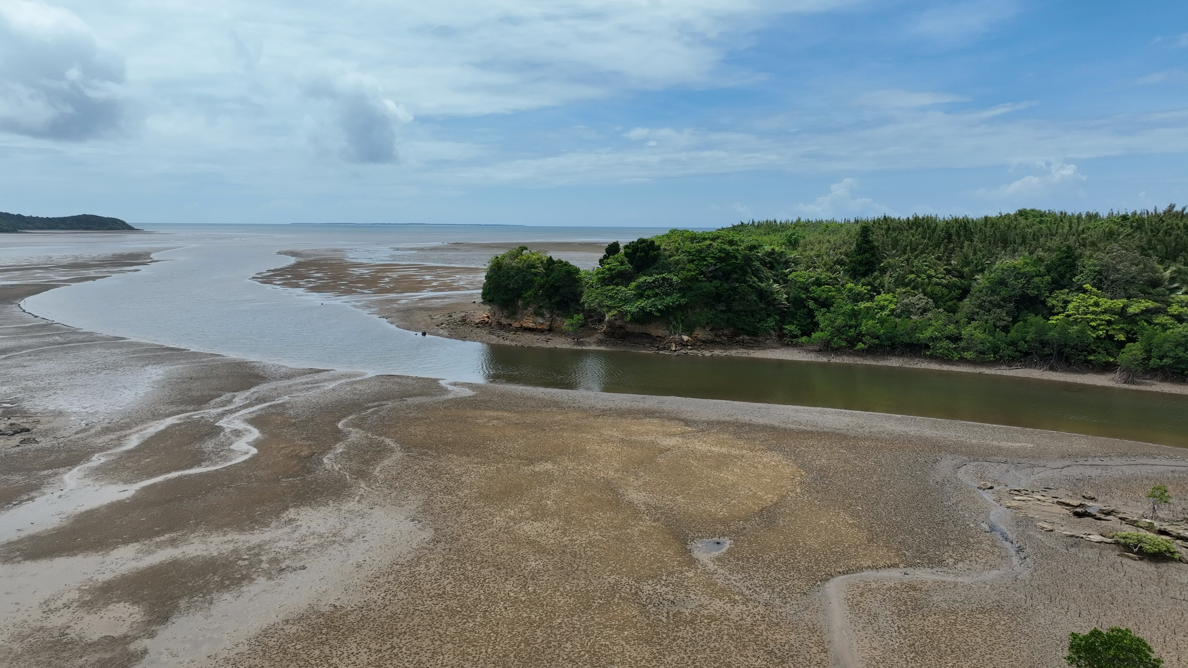 ทิวทัศน์ชายฝั่งที่มีพืชพรรณเขียวขจีและแม่น้ำสงบ