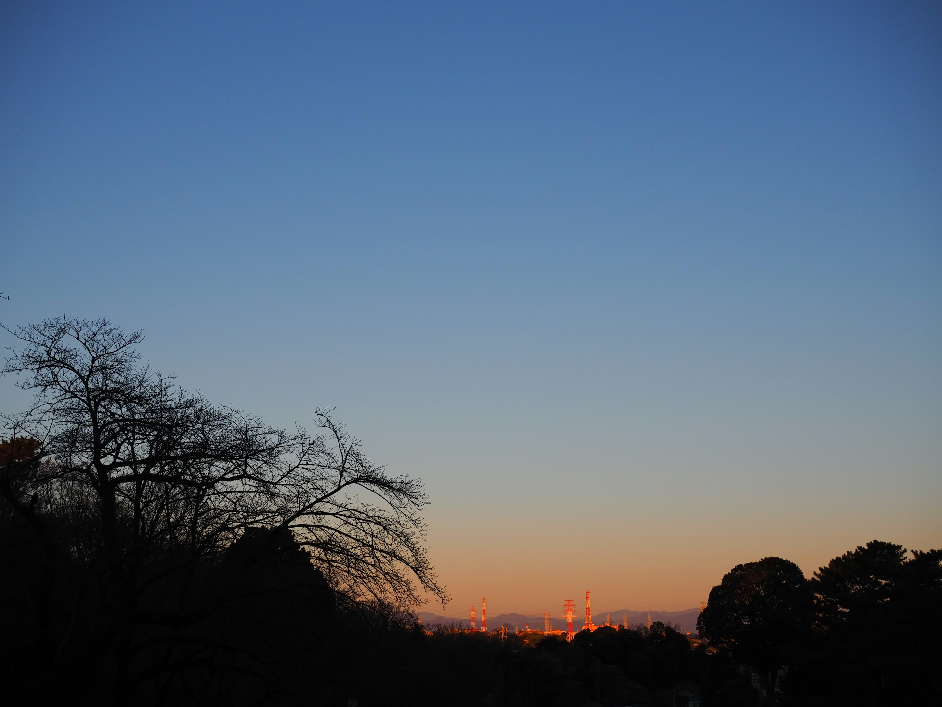 Dämmerungshimmel mit silhouettierten Bäumen und entferntem Sonnenuntergang