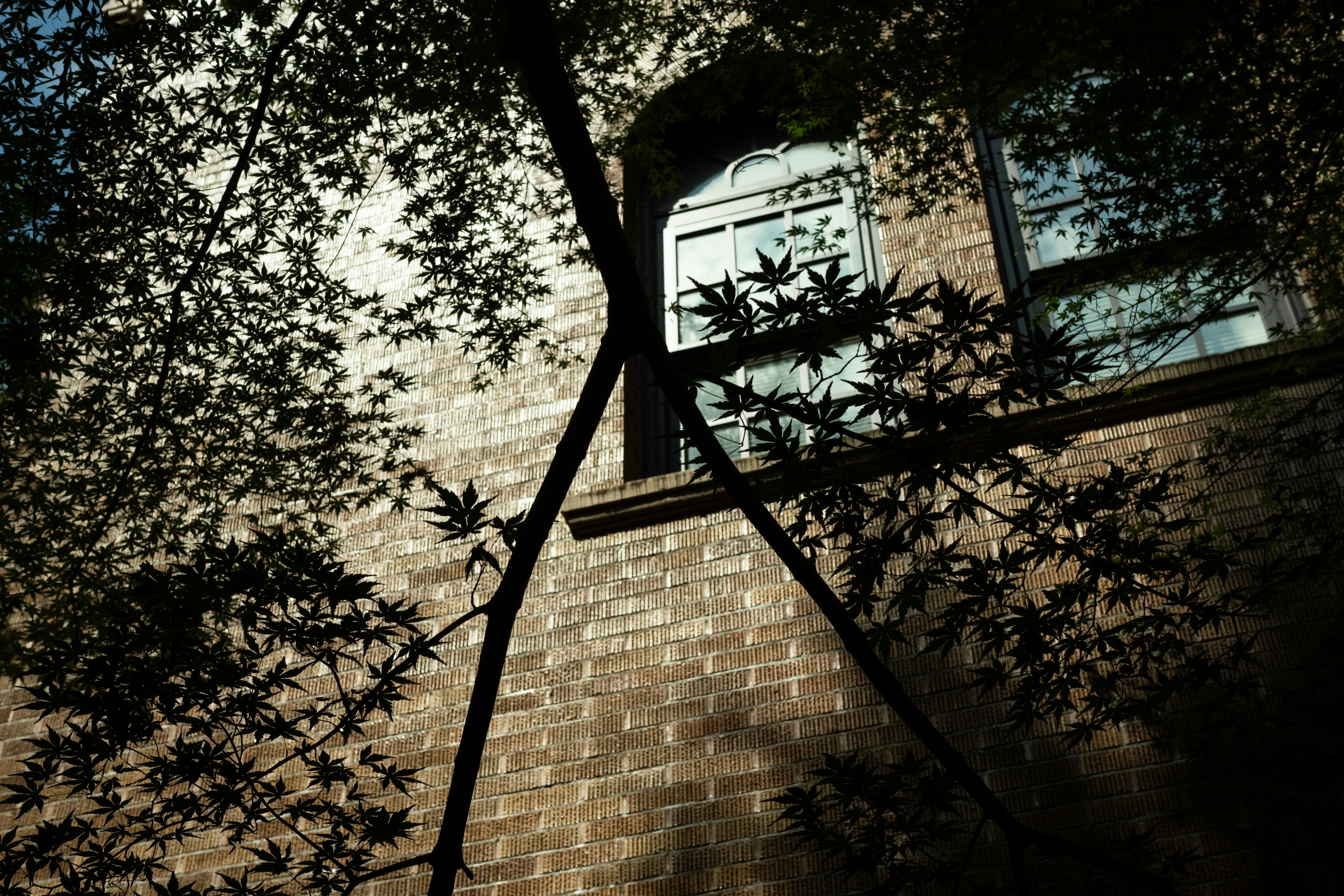 Brick wall with a window partially obscured by tree shadows