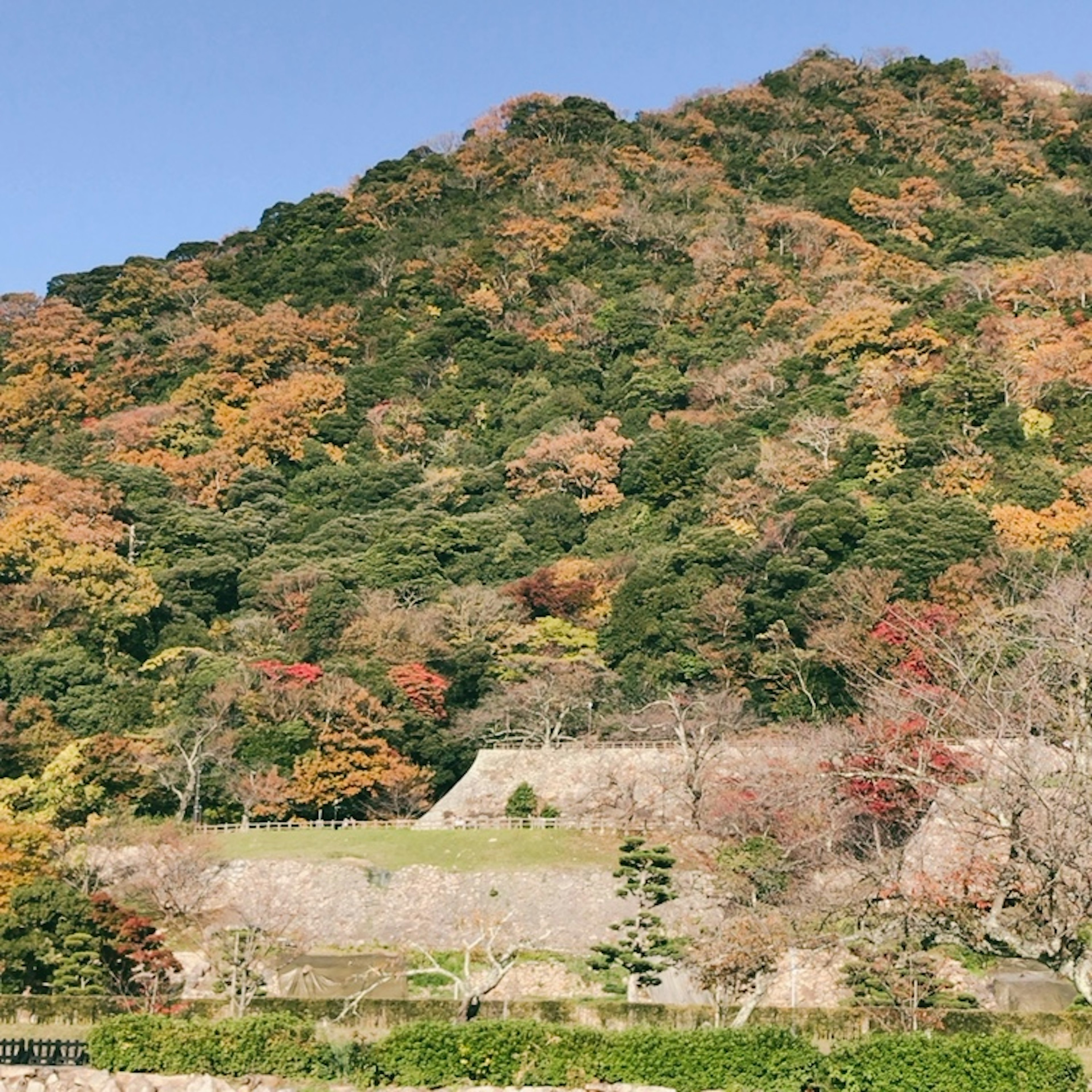 Vista panoramica di una montagna con fogliame autunnale vibrante