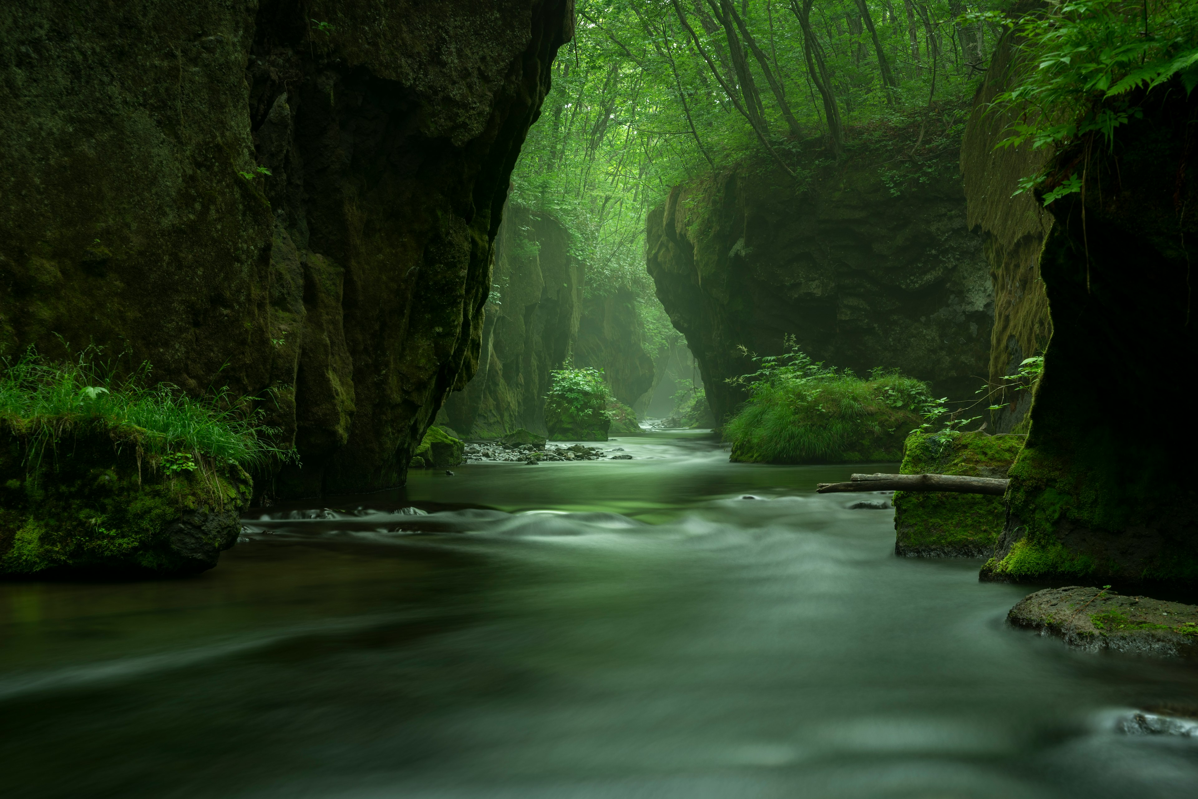 Serene river flowing through a lush green canyon