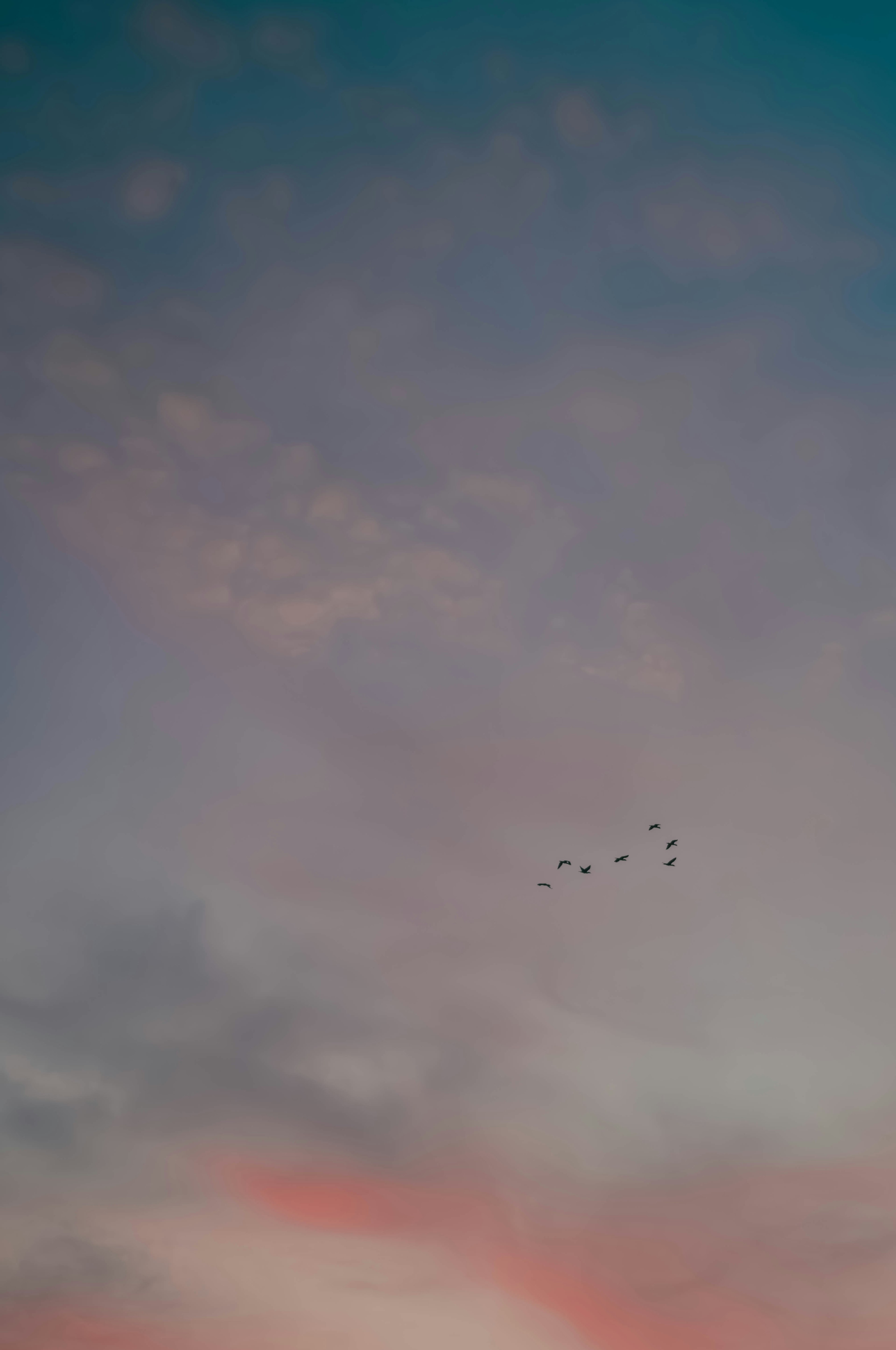 夕焼け空に飛ぶ鳥の群れ