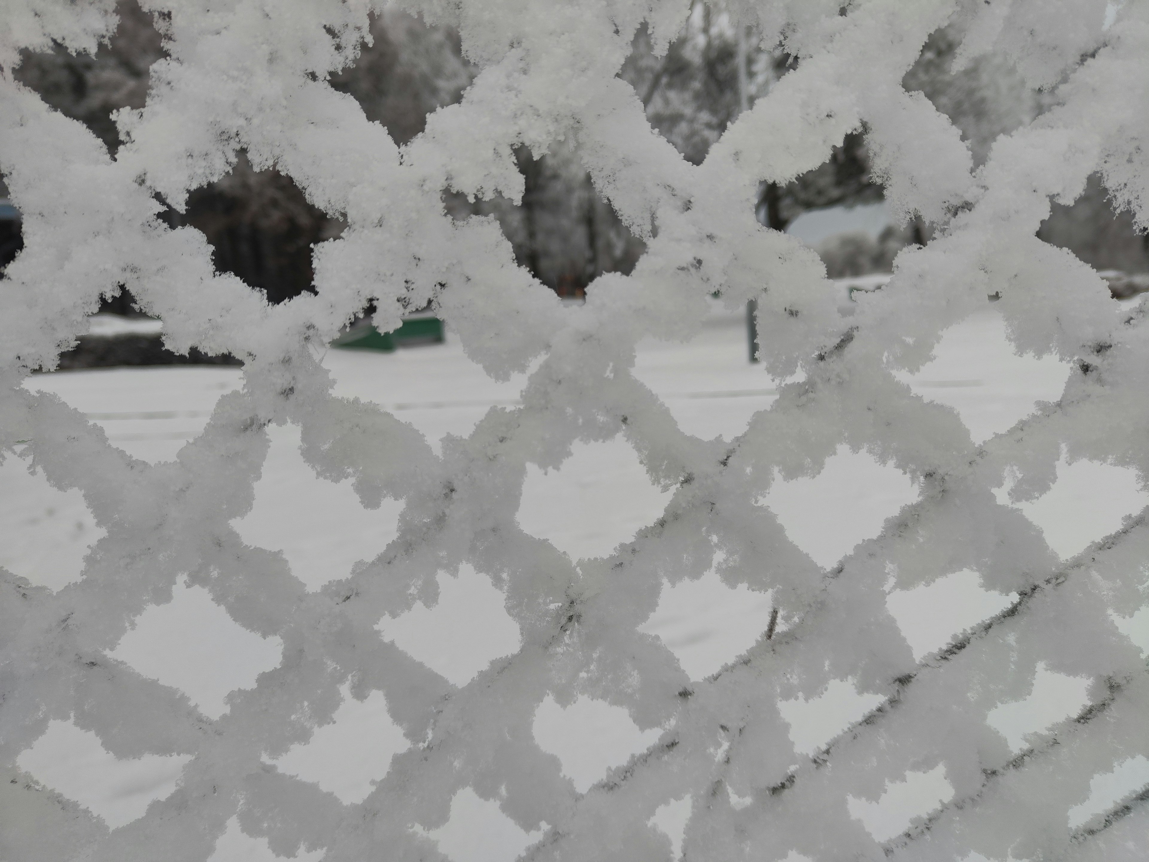 Cerca de enrejado helada con paisaje nevado al fondo