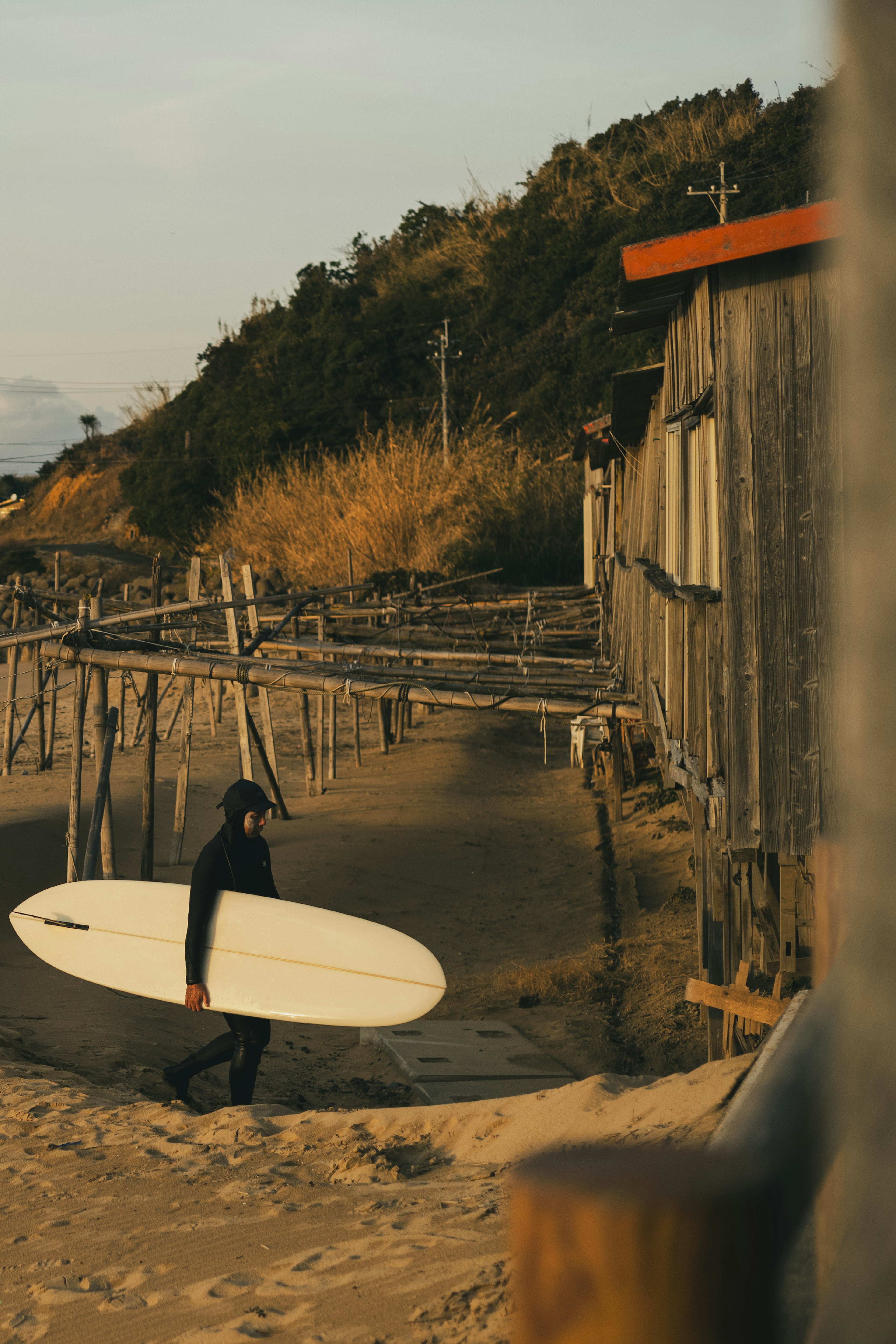 Surfista che porta una tavola da surf mentre cammina lungo la spiaggia con una luce serale morbida