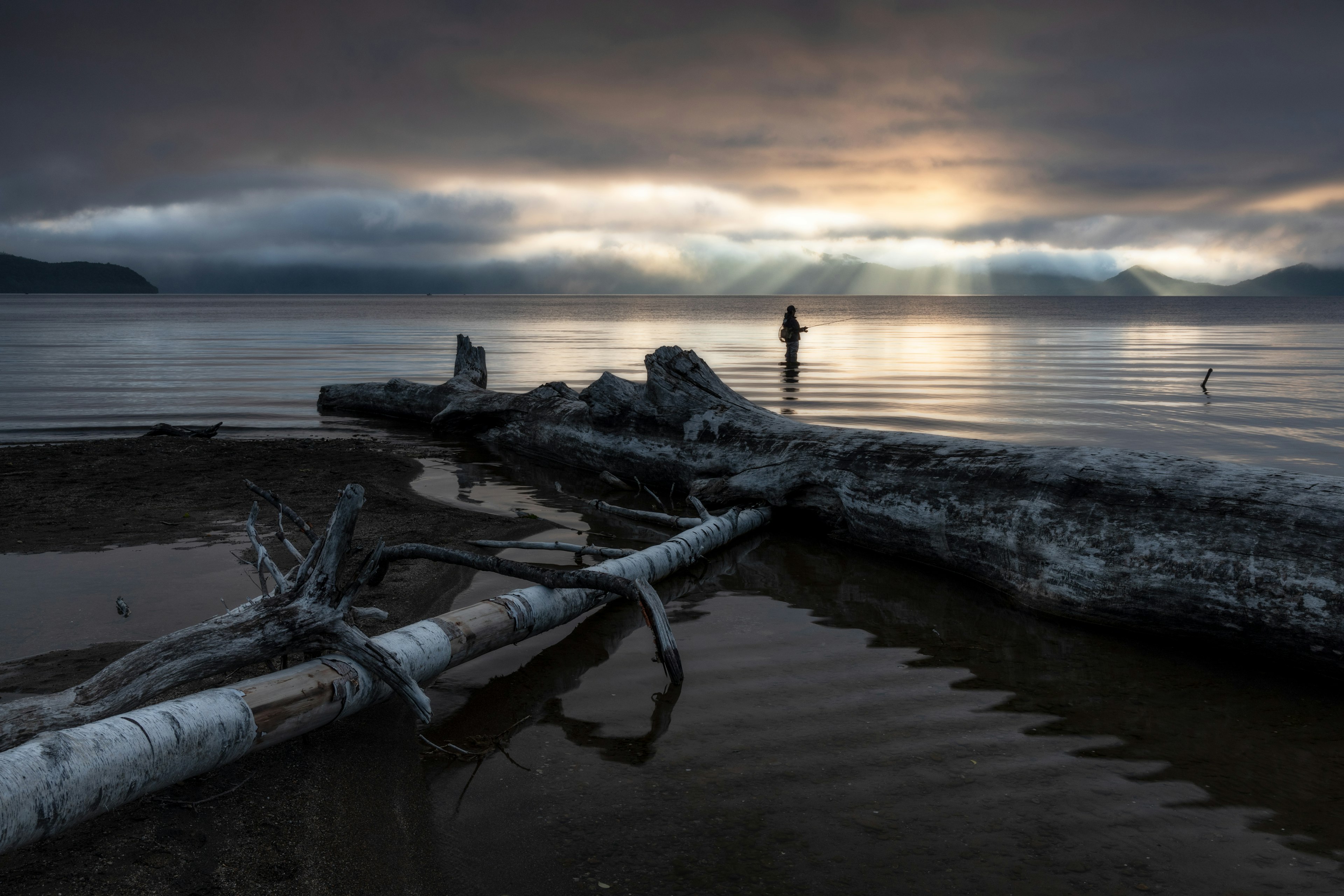 Silhouette of a person standing at a quiet lakeshore with fallen logs