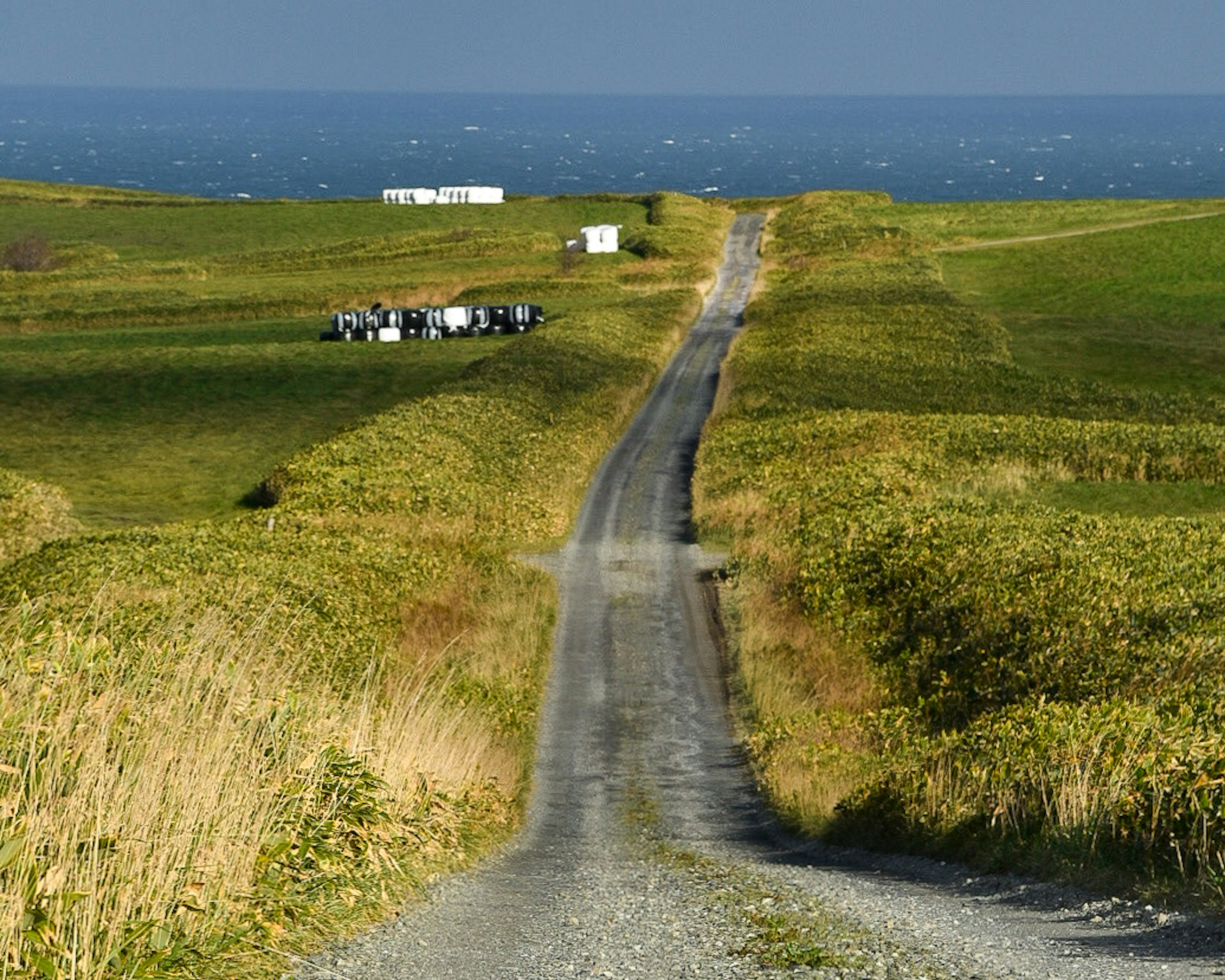 A gravel road leading through green hills toward the blue sea