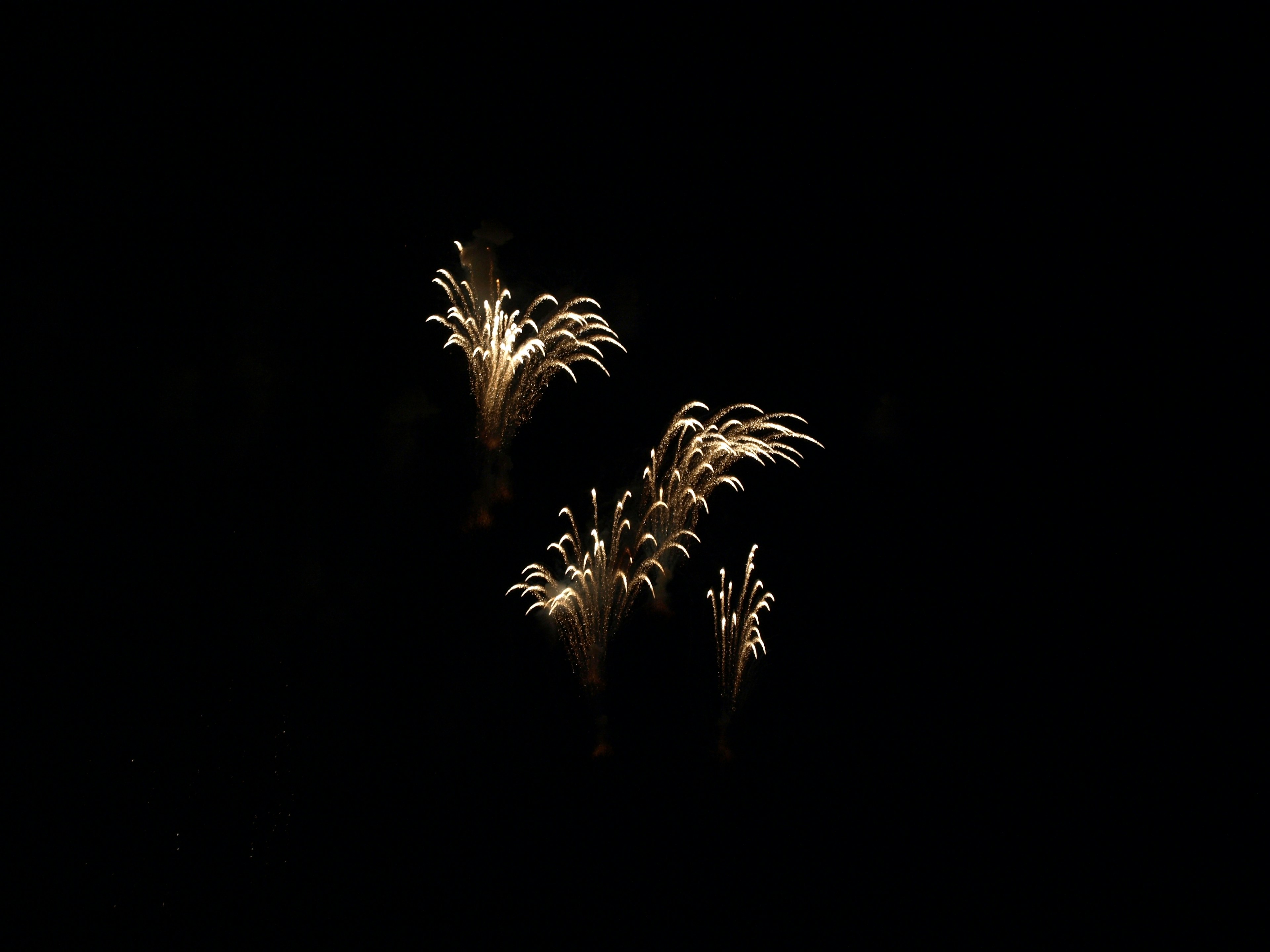 Bellissima esposizione di fuochi d'artificio dorati su sfondo scuro