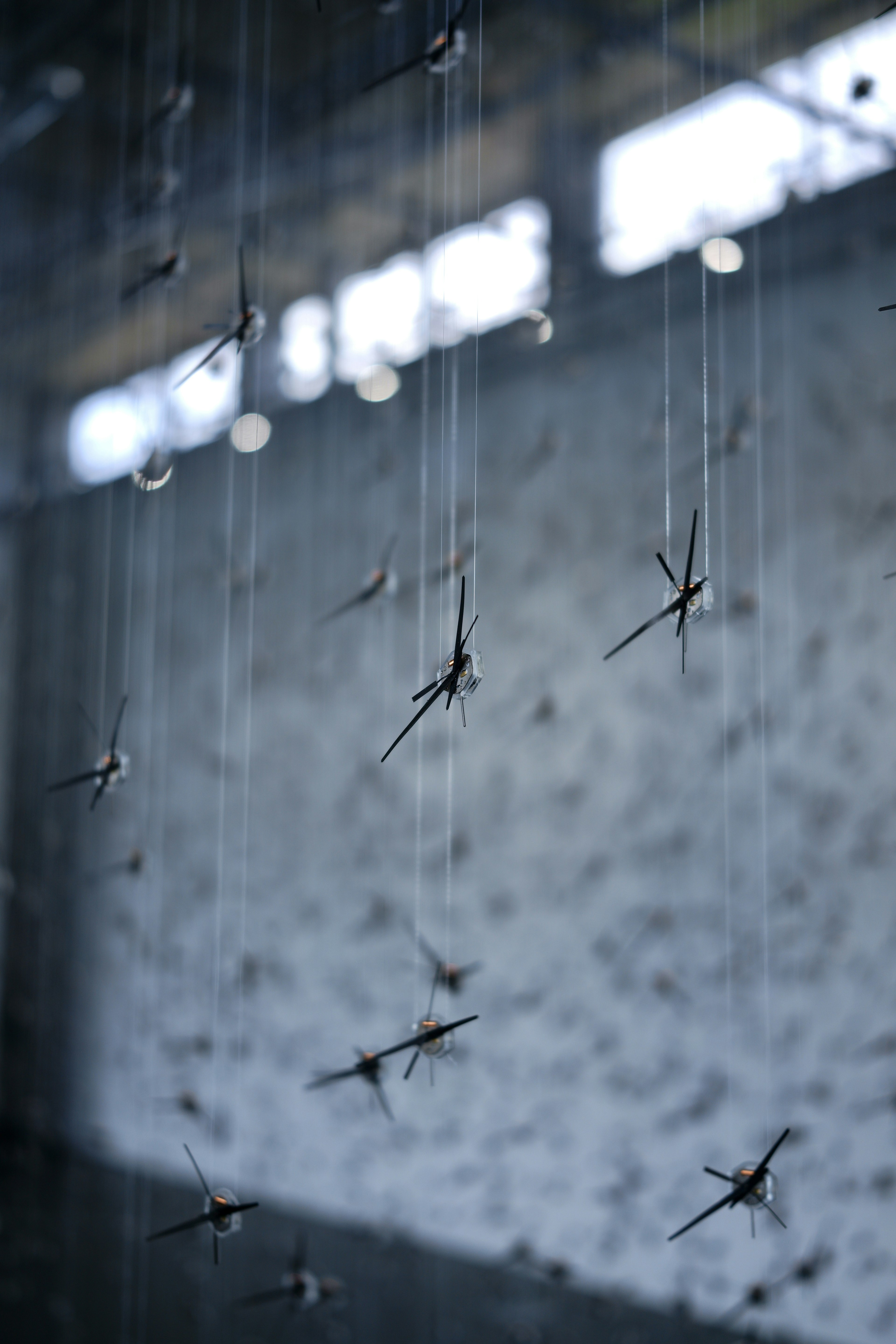 Small insects suspended on transparent threads against a textured wall