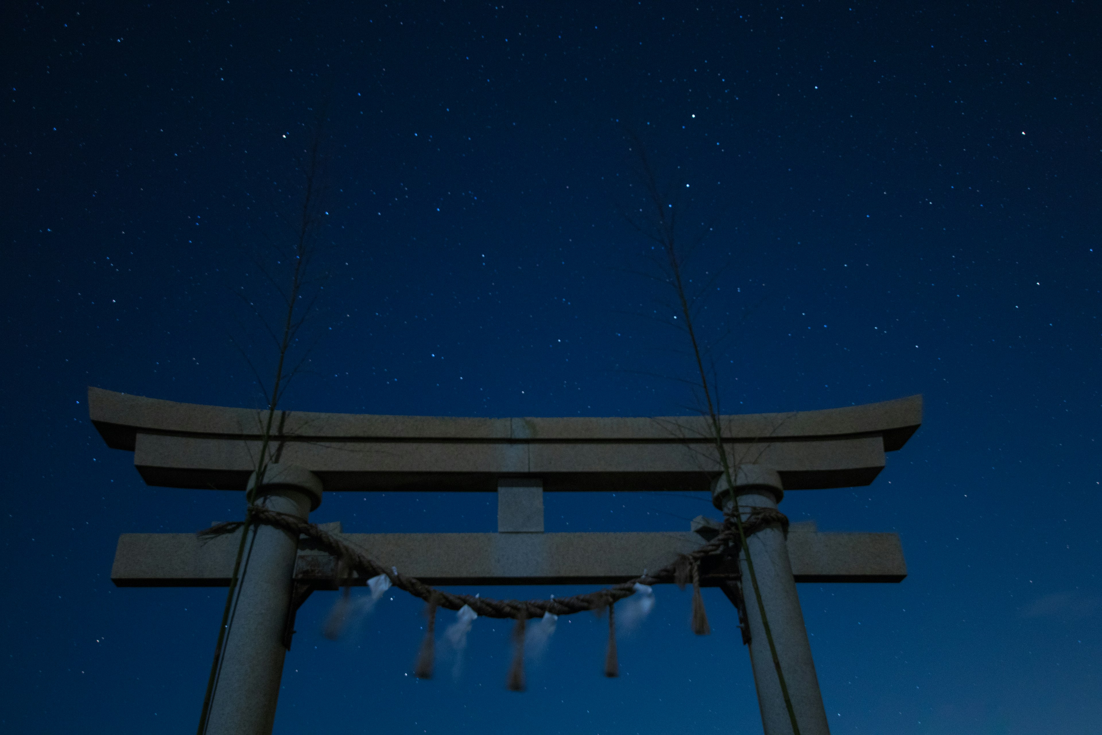 Portale torii contro un cielo stellato