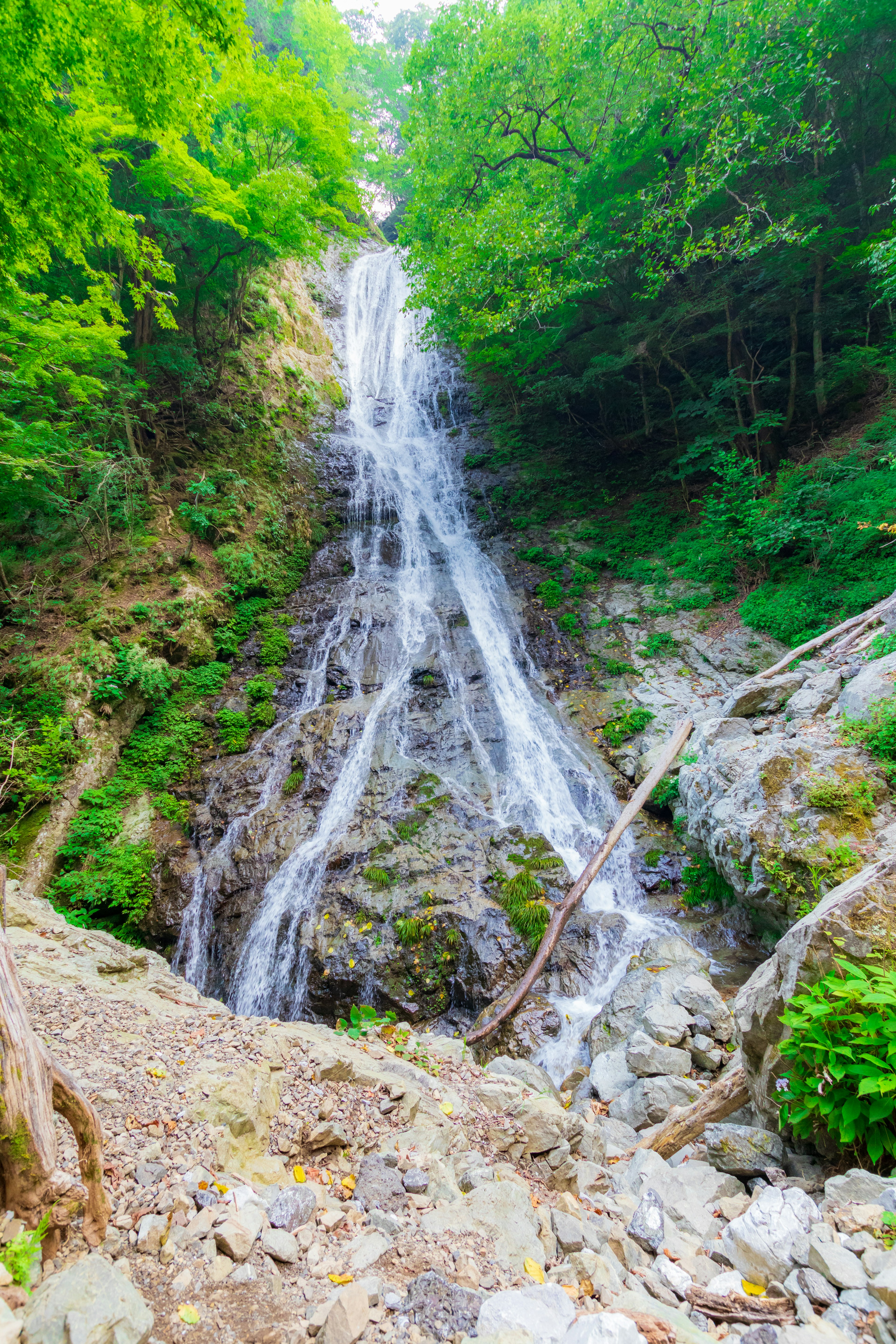 Waterfall cascading down a rocky hillside surrounded by lush greenery