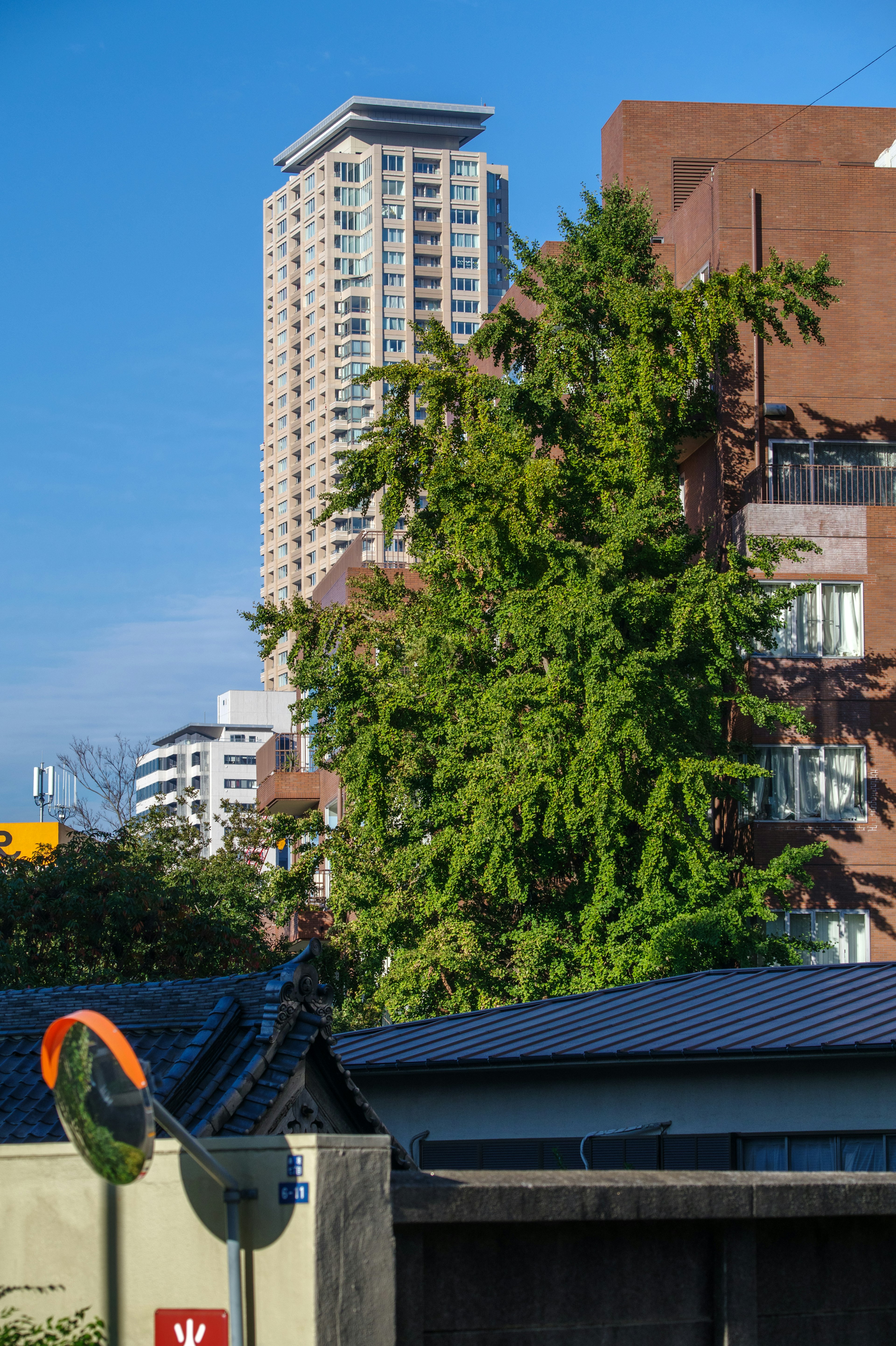 Paesaggio urbano con un grattacielo e un albero verdeggiante