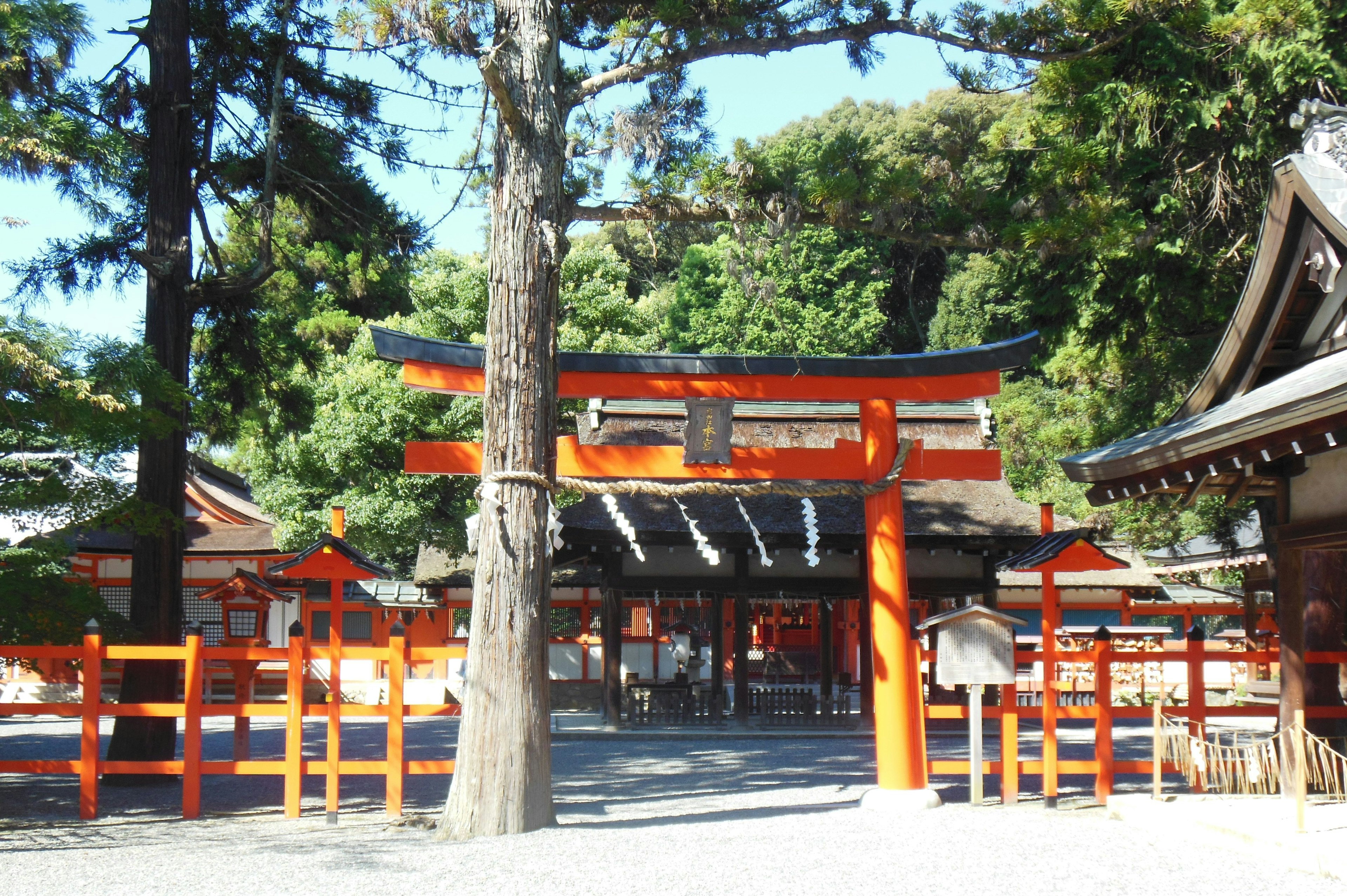 Eine malerische Ansicht eines Schreins mit einem roten Torii und umliegenden Bäumen