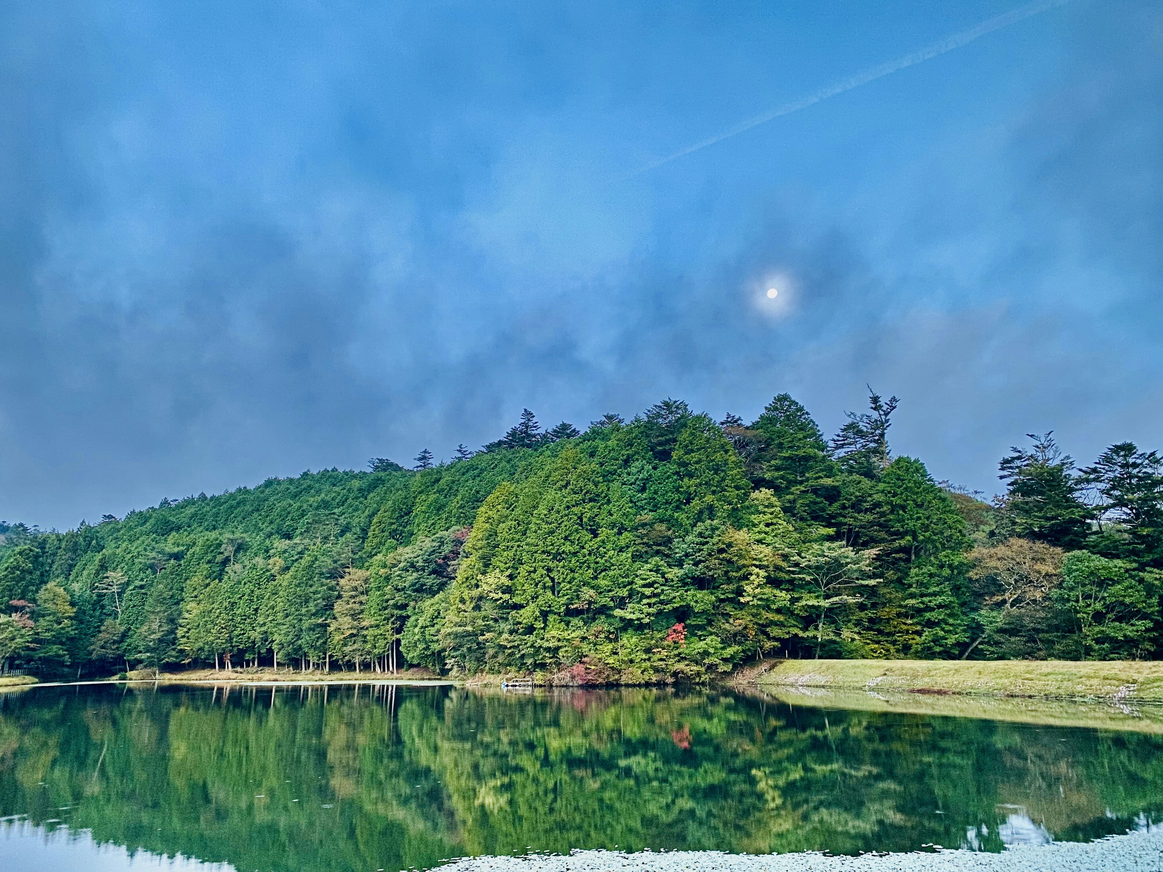 Serene lake with lush green forest landscape reflecting the moon on calm water