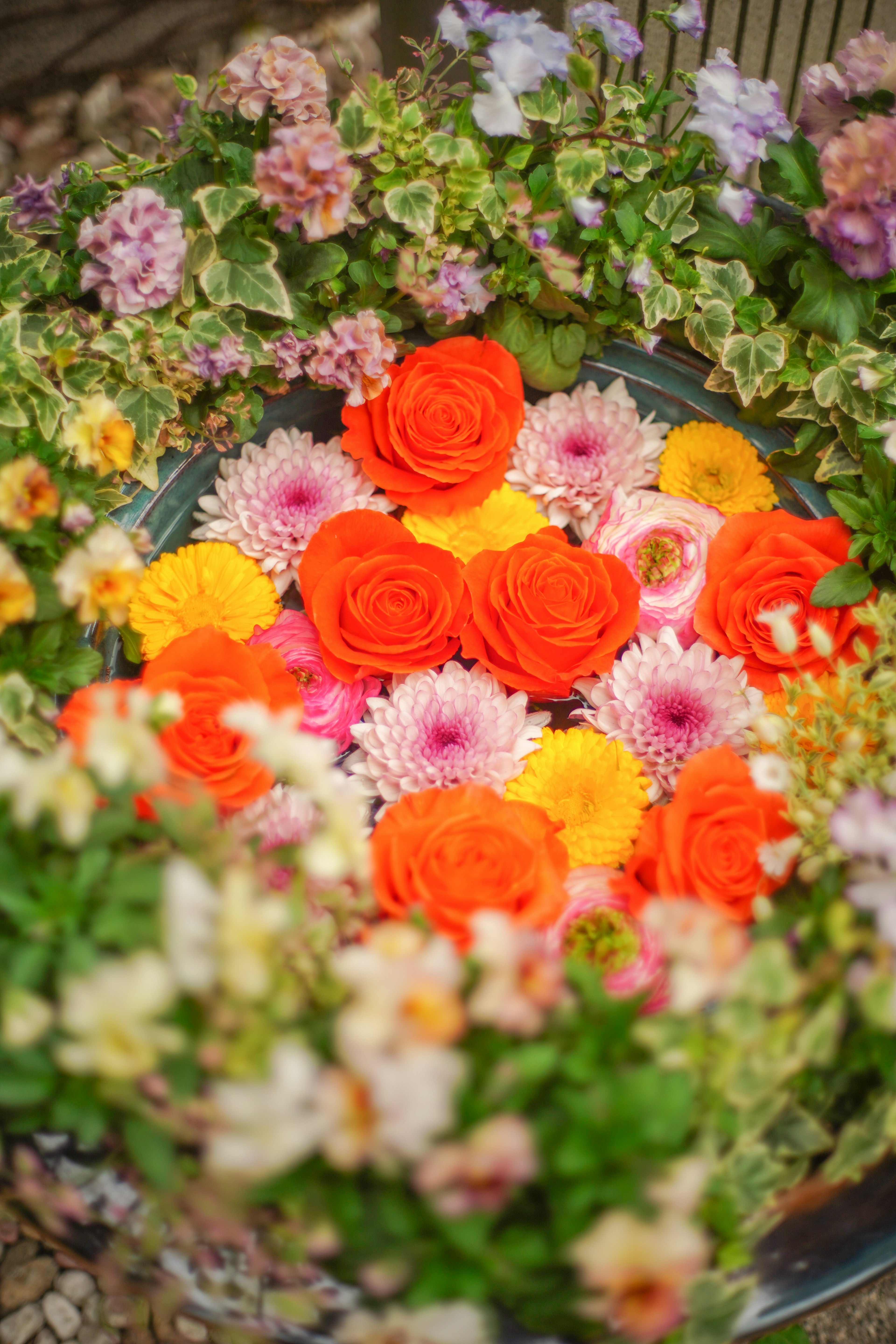 A vibrant arrangement of orange roses and a variety of colorful flowers floating in water