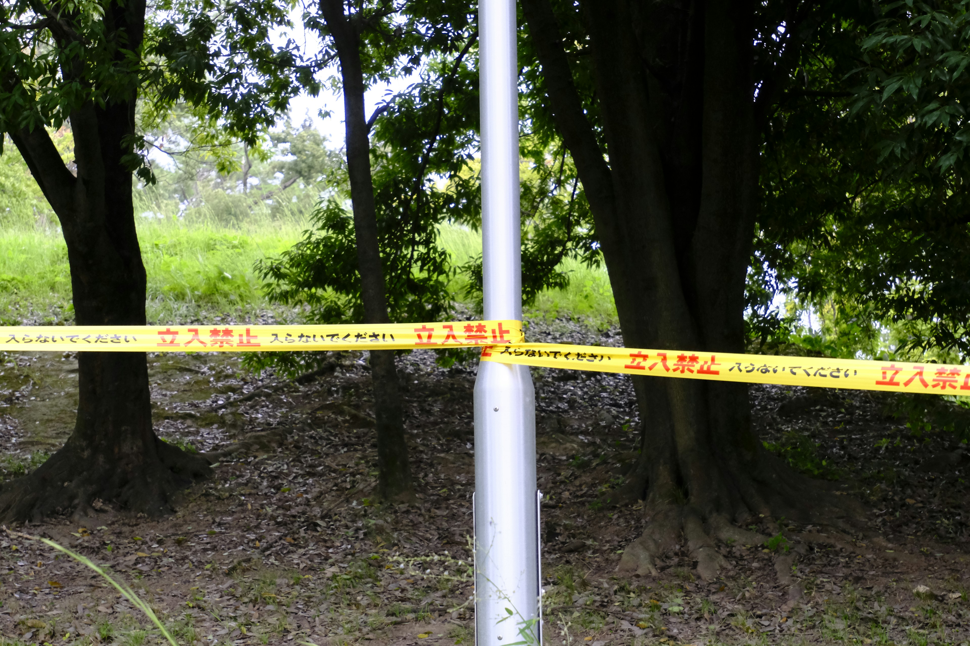 Warnband um einen Pfosten in einem Parkbereich mit Bäumen