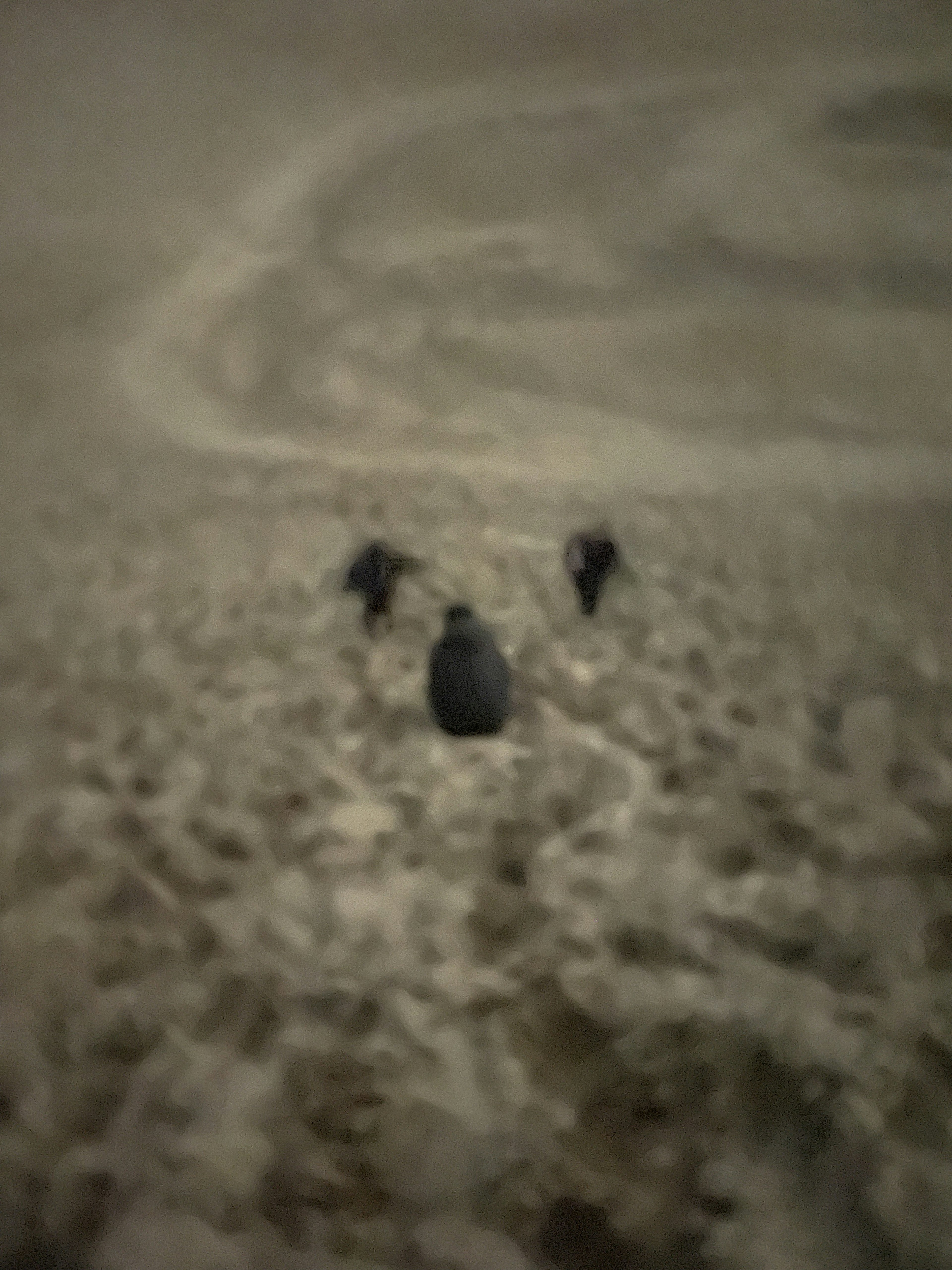 People walking through fog over sandy dunes