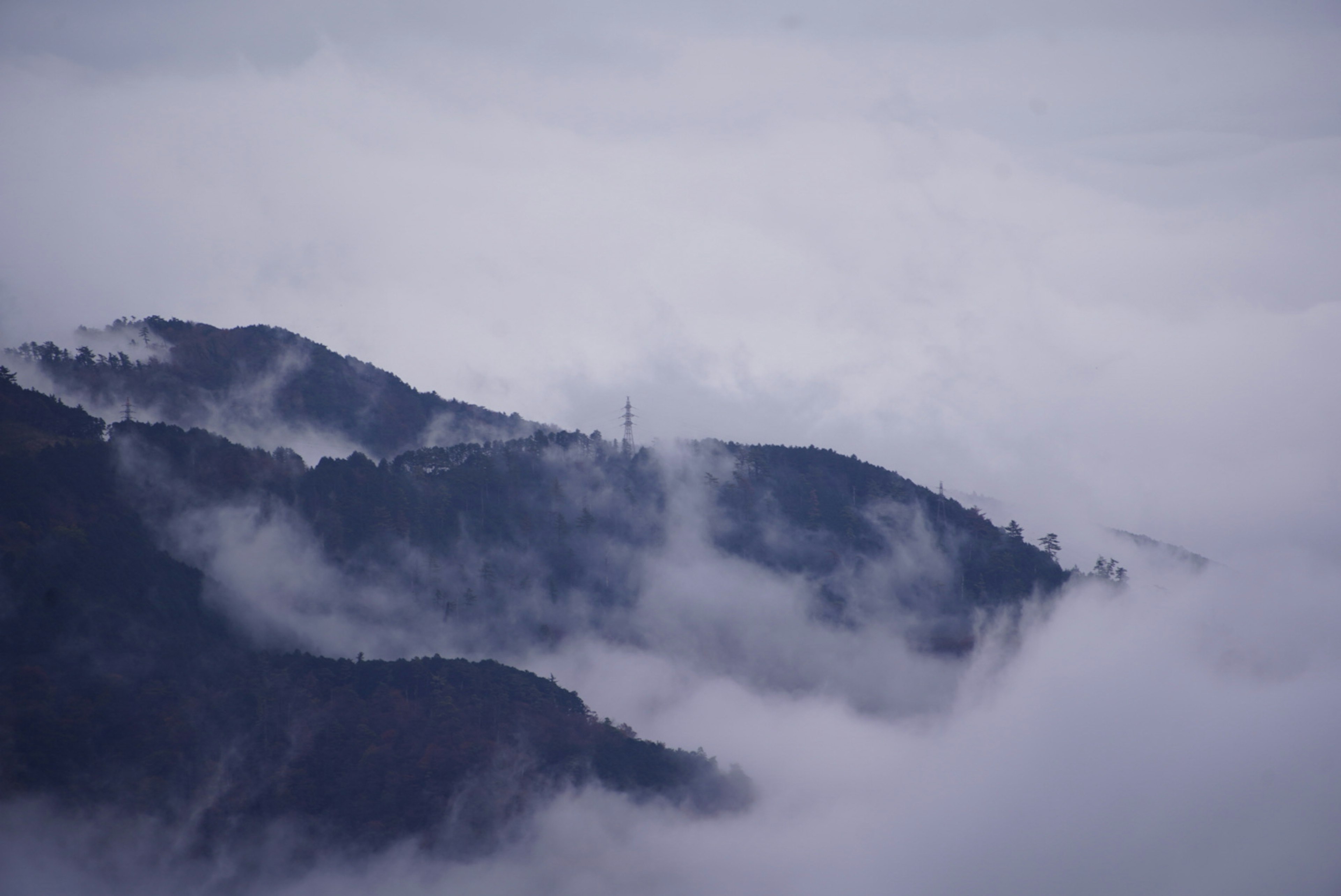 霧に包まれた山々の風景