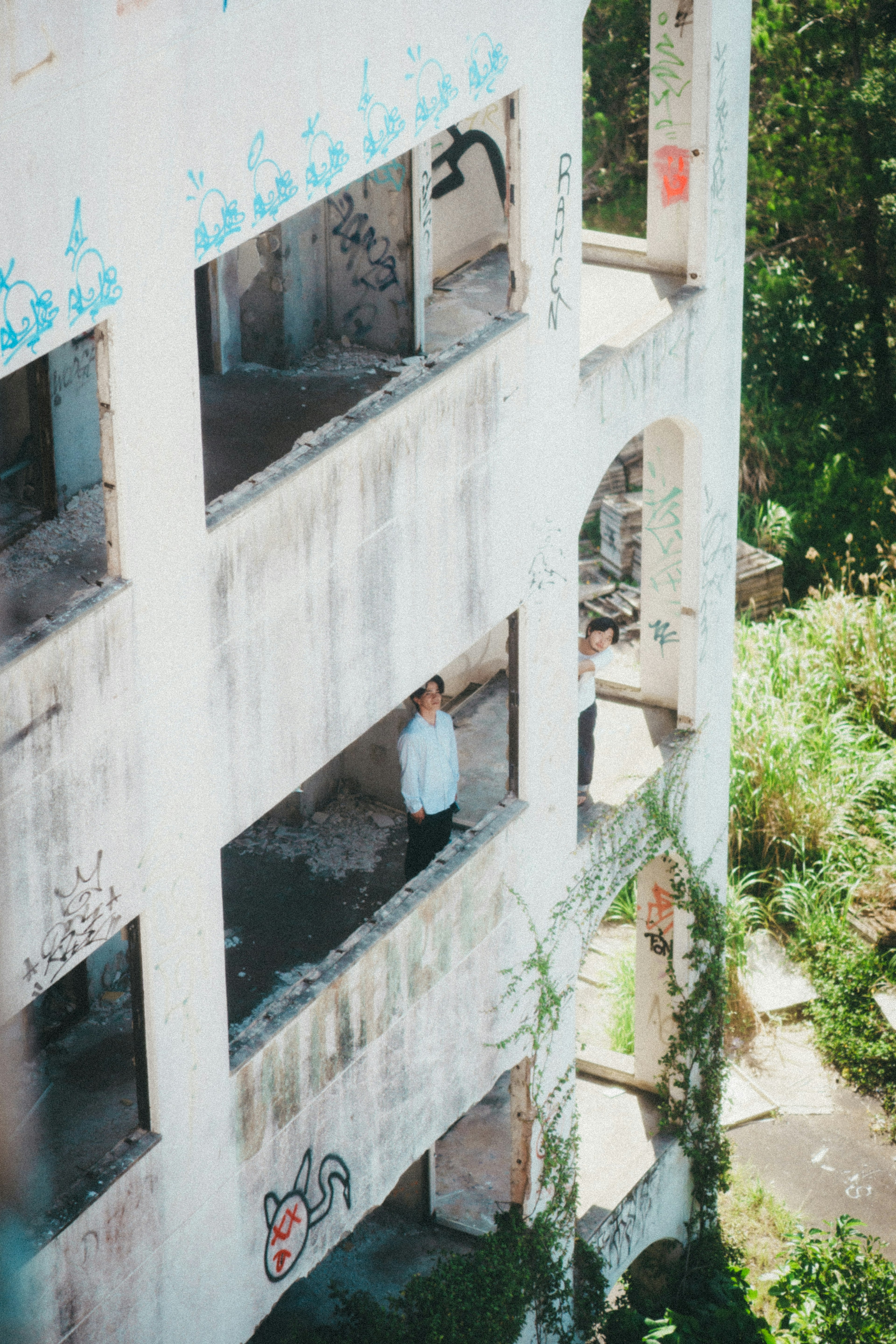 A person standing in an abandoned building surrounded by greenery