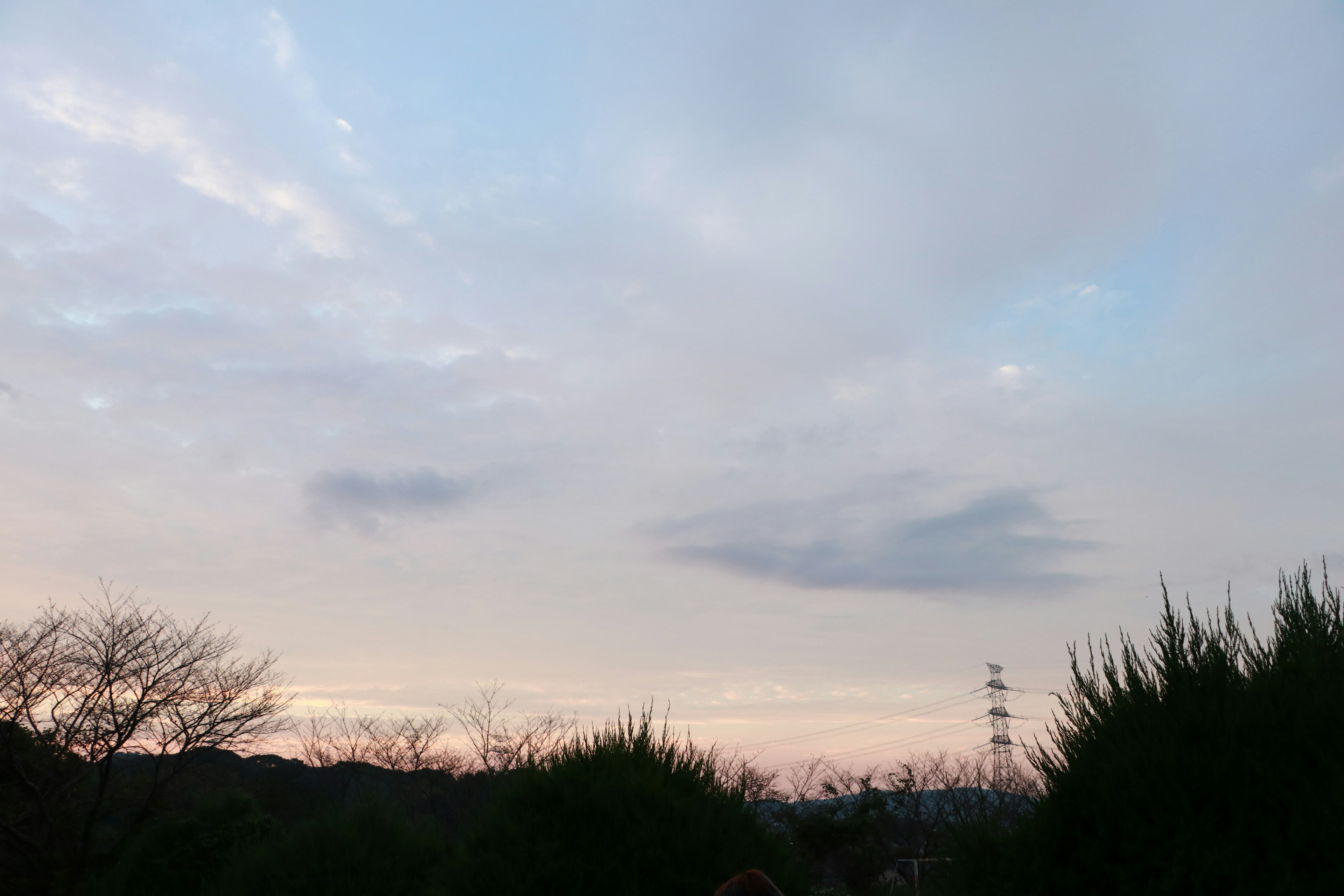 Twilight sky with silhouetted trees and distant power tower