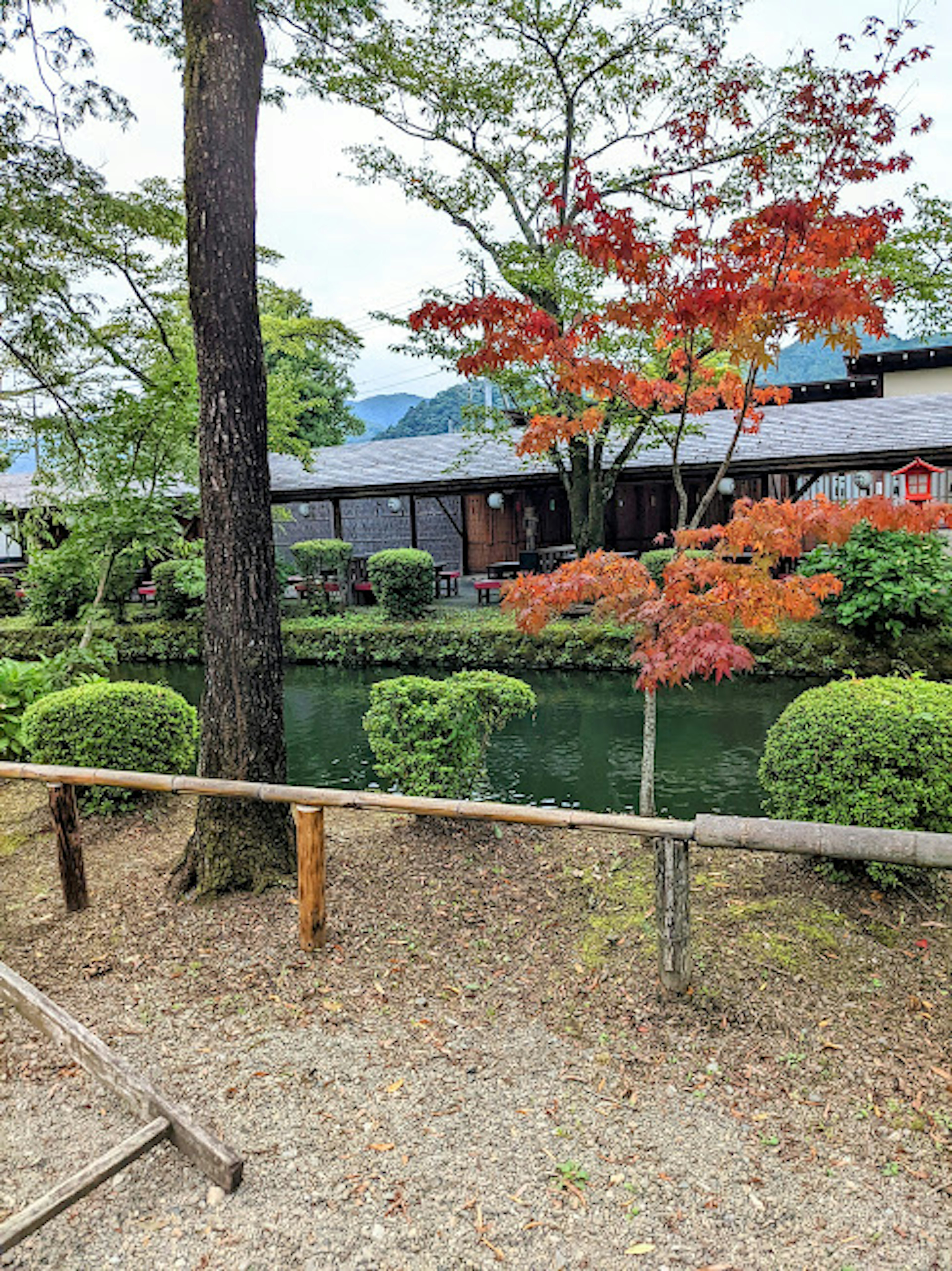 風景如畫的花園景觀，池塘旁有色彩斑斓的秋天樹葉