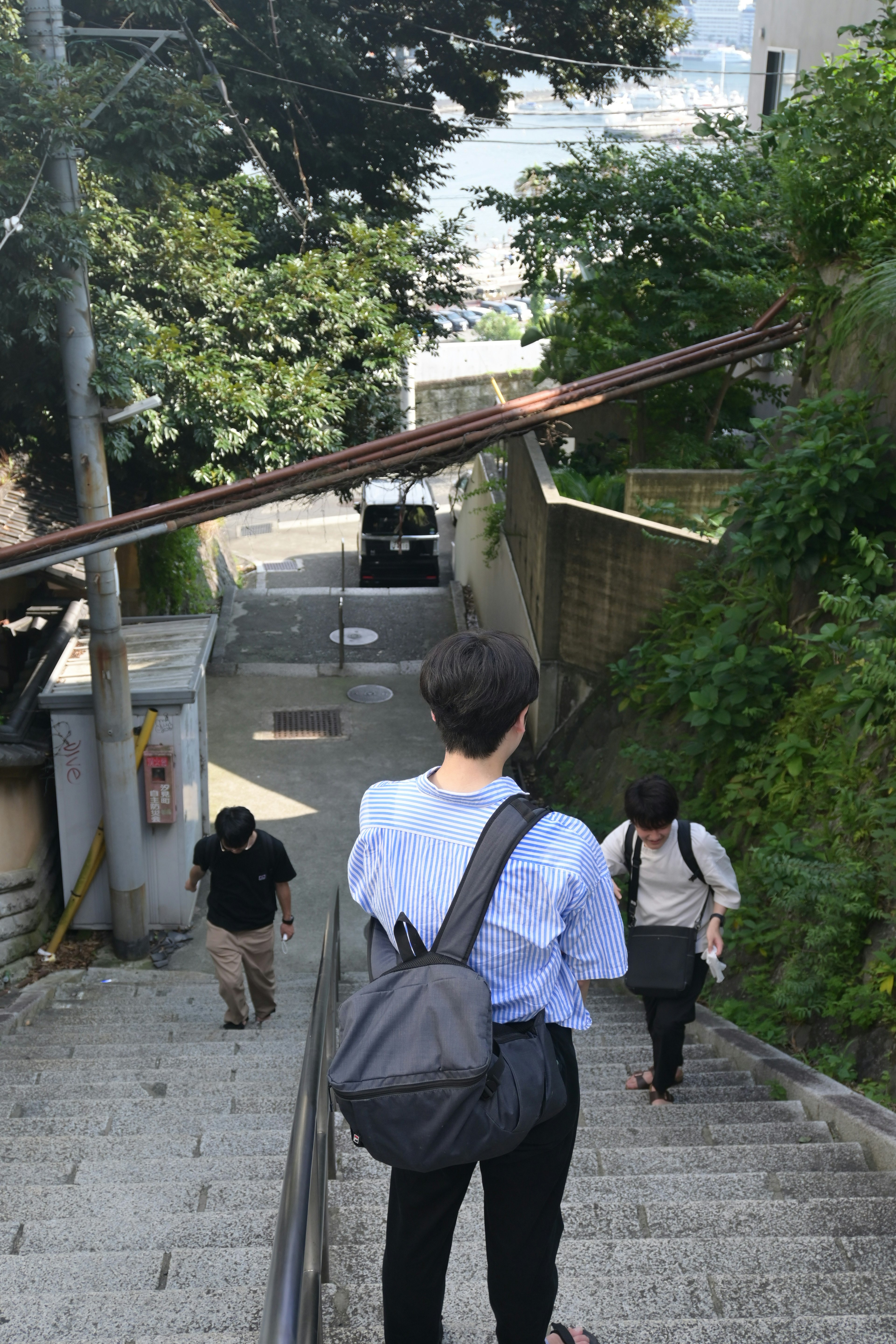 People walking down a staircase surrounded by greenery