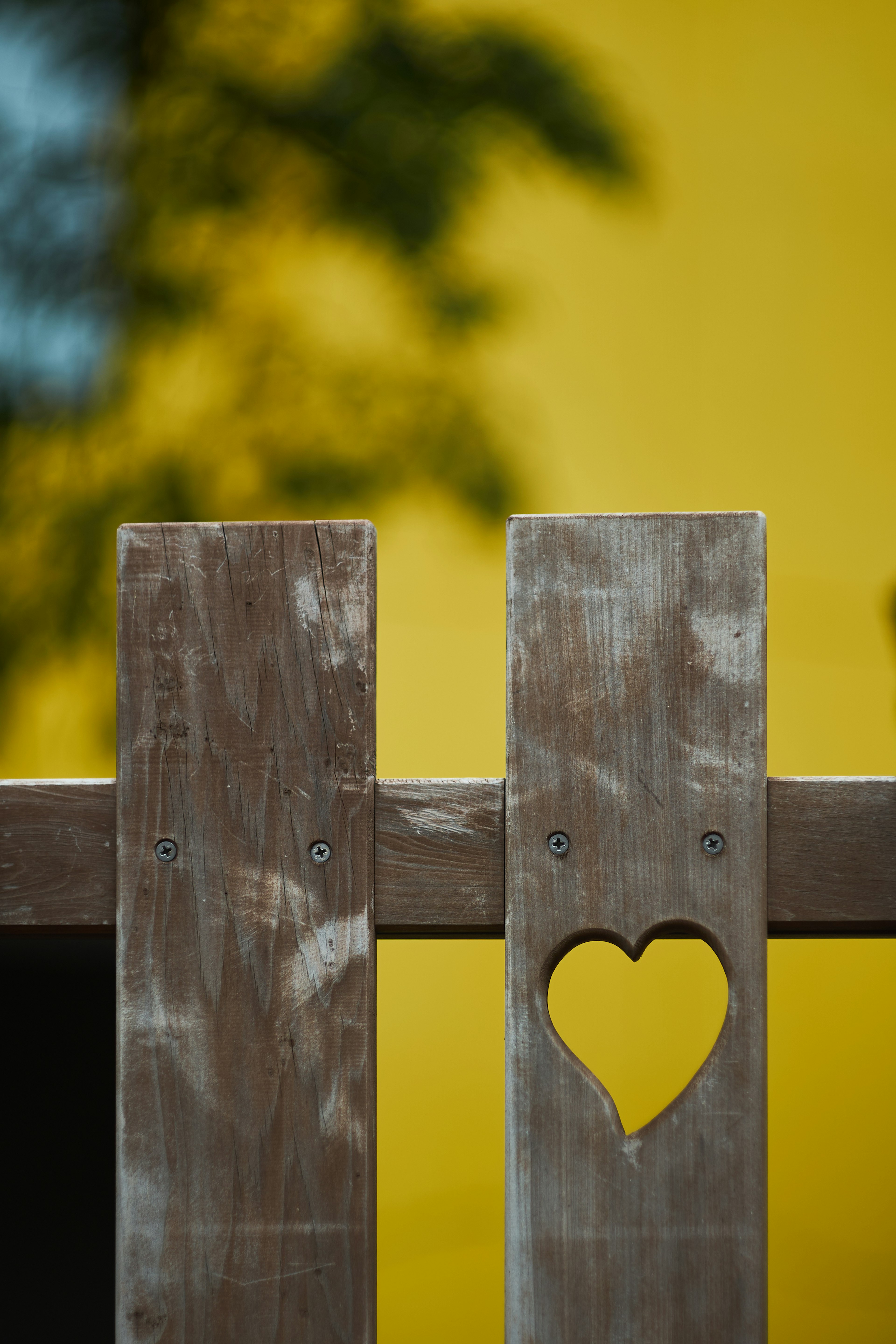 Valla de madera con un corte en forma de corazón y una pared amarilla de fondo