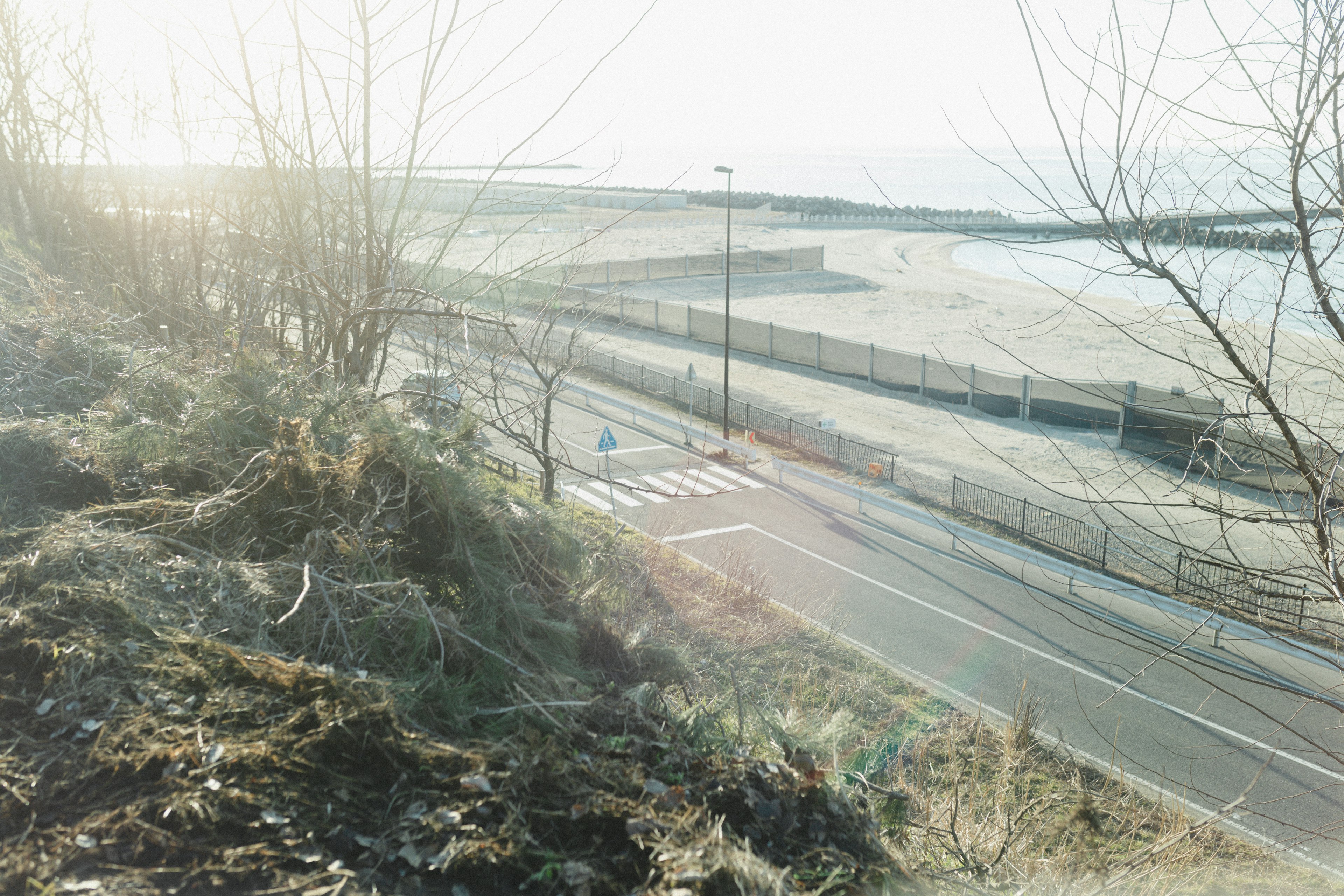 Küstenstraße mit Vegetation und Blick auf das Meer in der Ferne