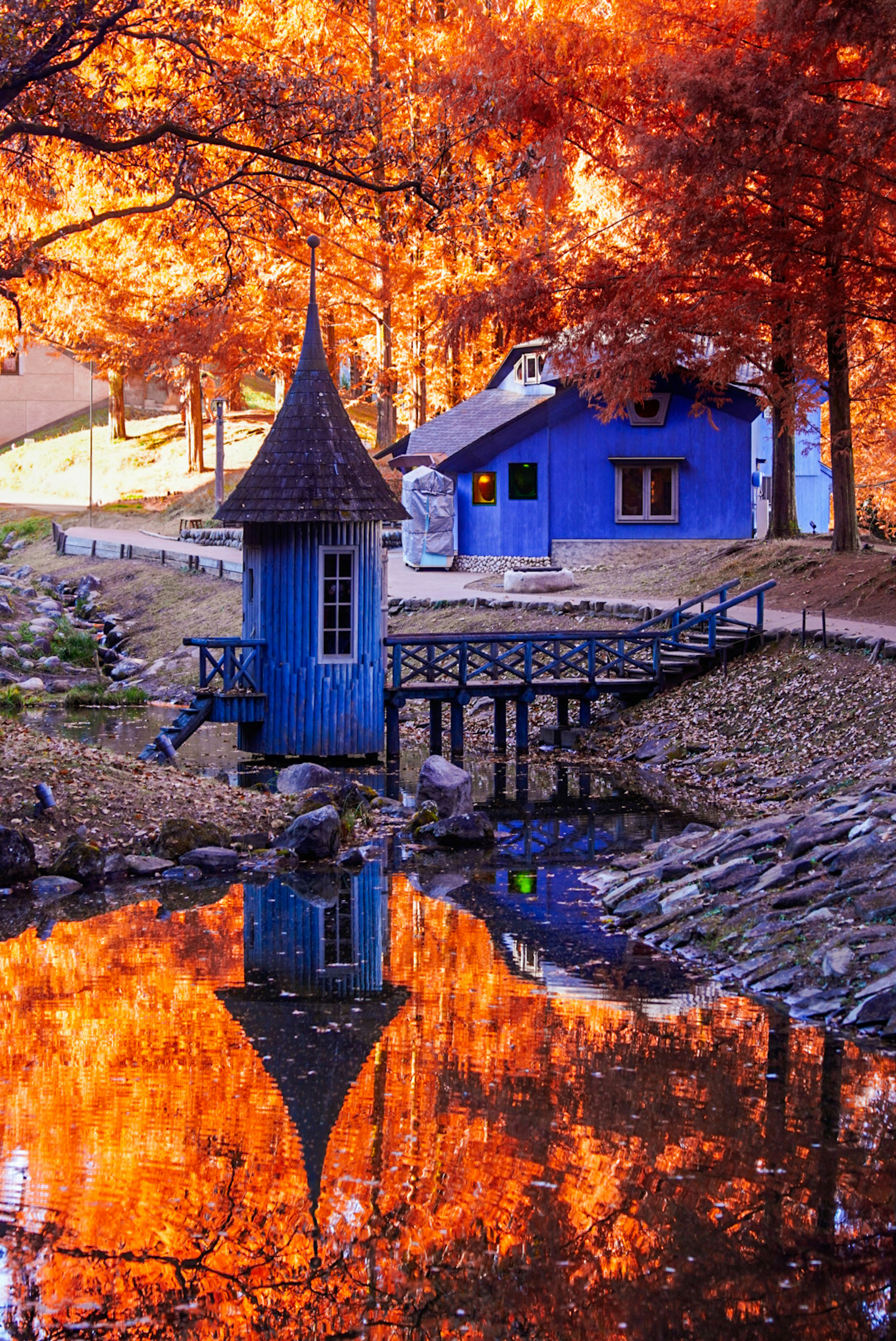 秋の色に包まれた青い小屋と反射する水面の美しい風景