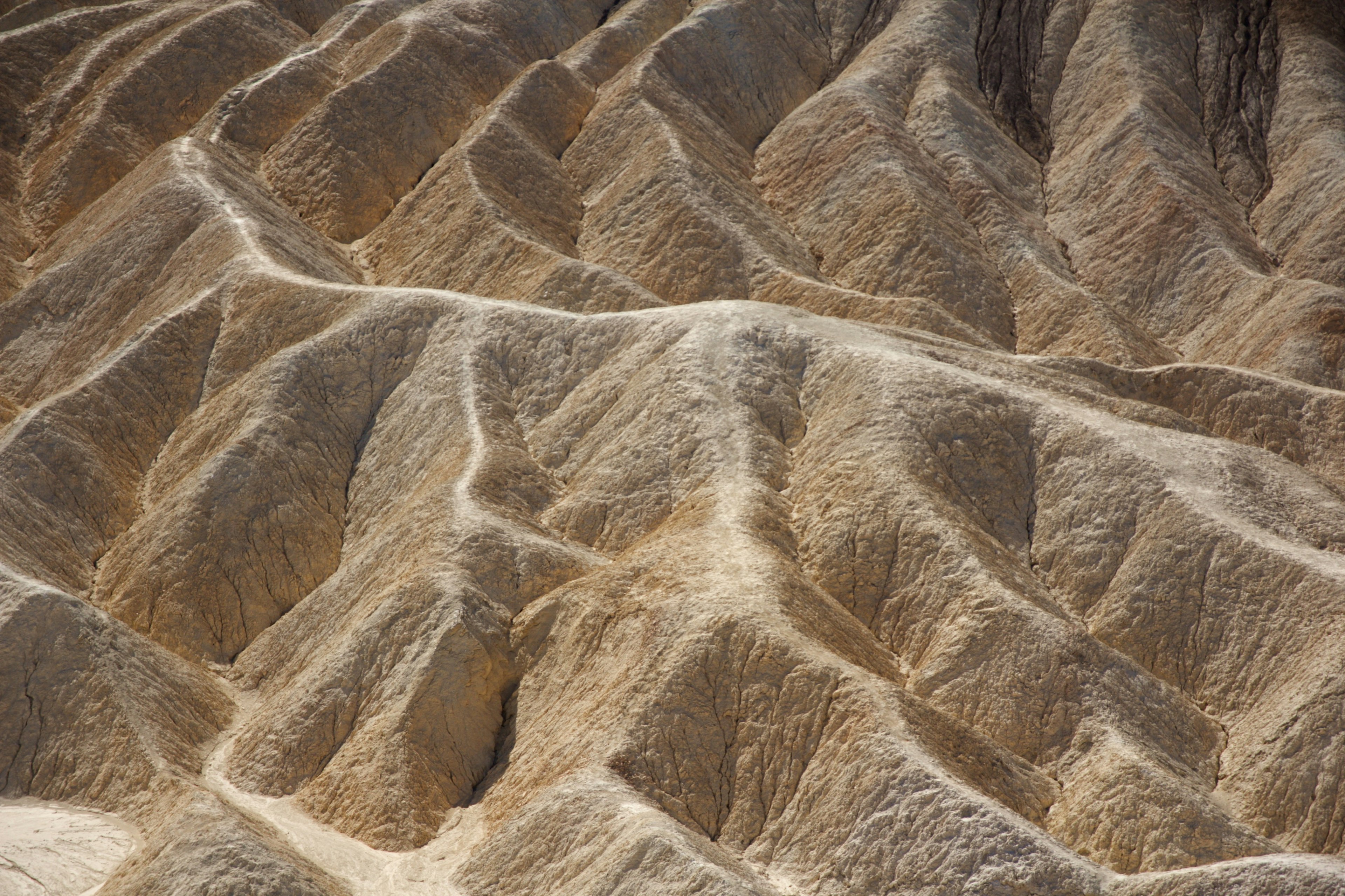 Wavy terrain formed on dry ground