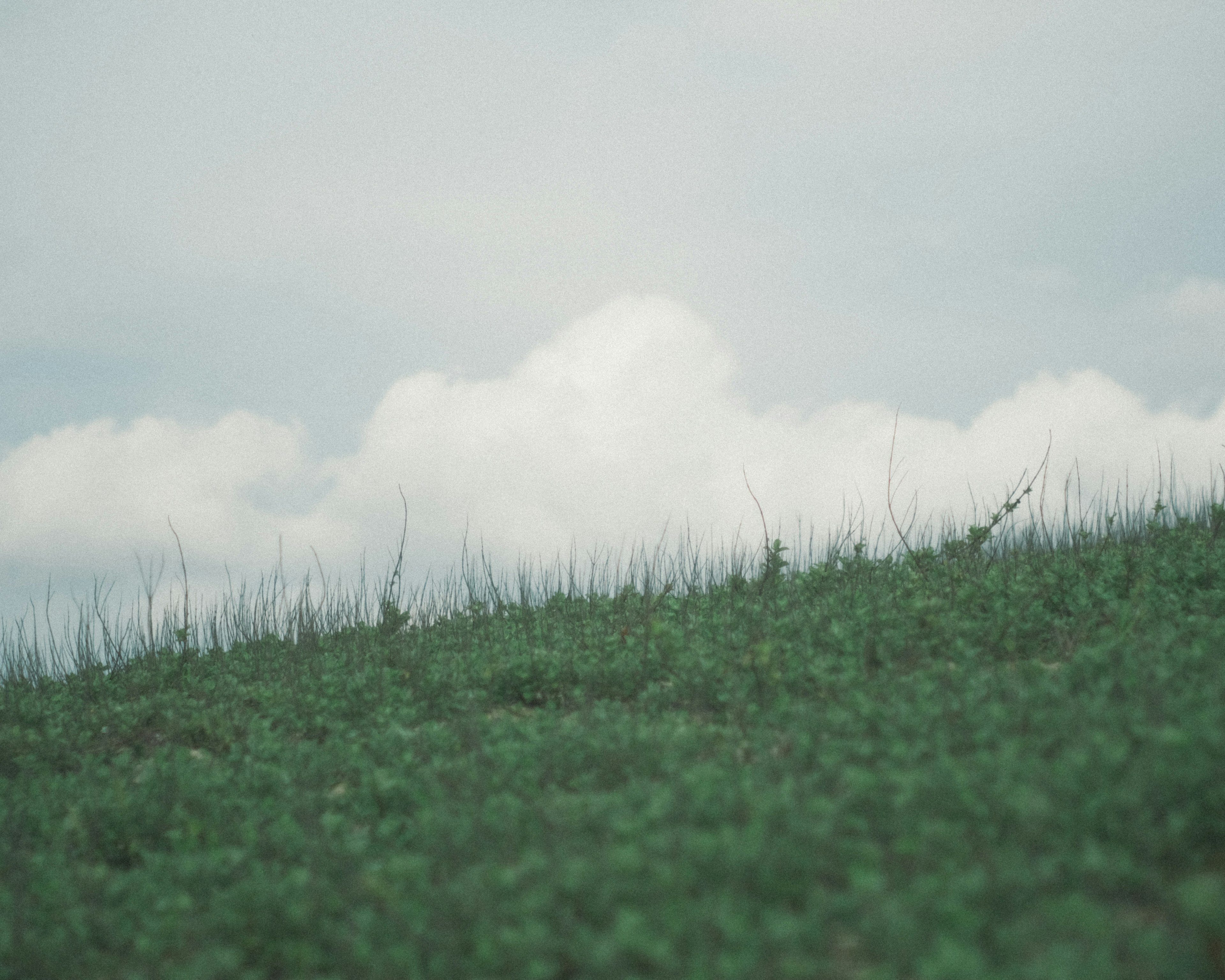 A serene landscape featuring a green hillside and clouds