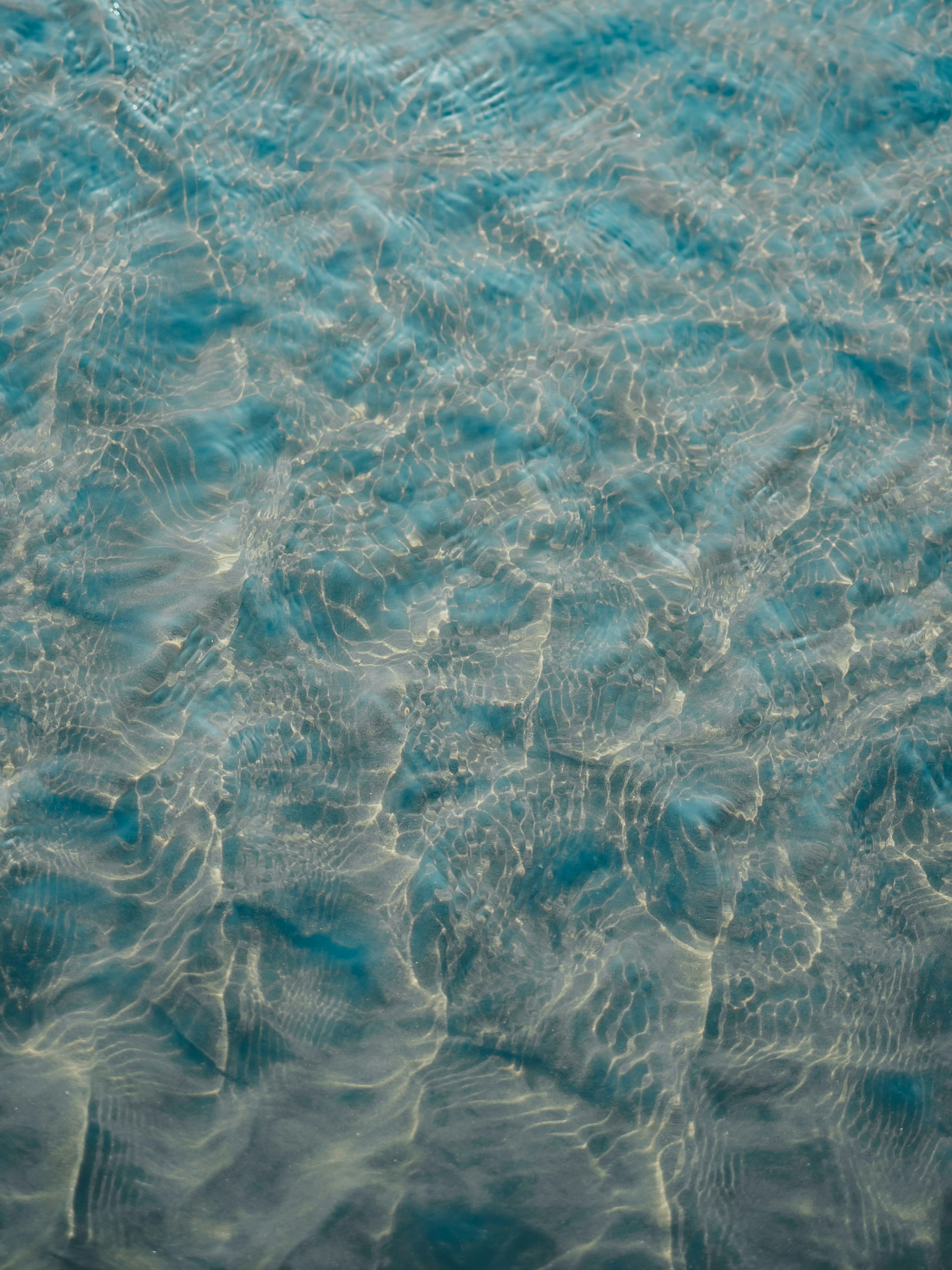 photo-6G3JXd1TtcZlPtSfL9fH-image
