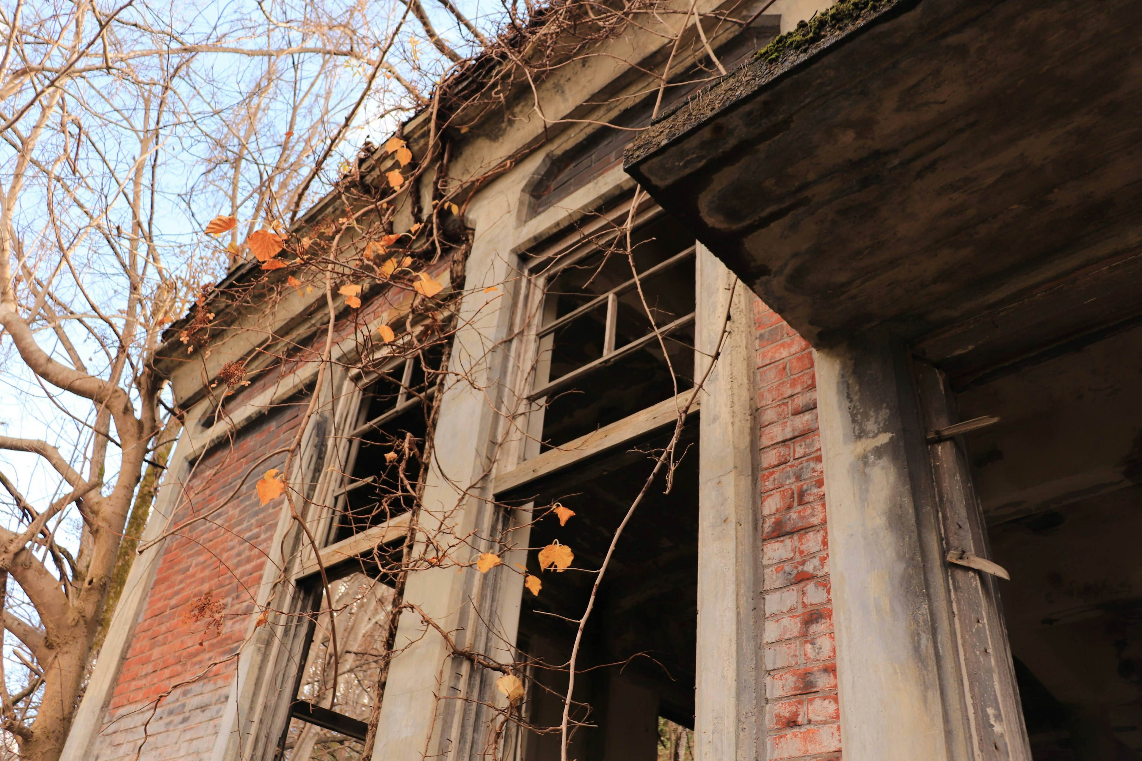 Bâtiment abandonné avec des fenêtres cassées et des feuilles sèches