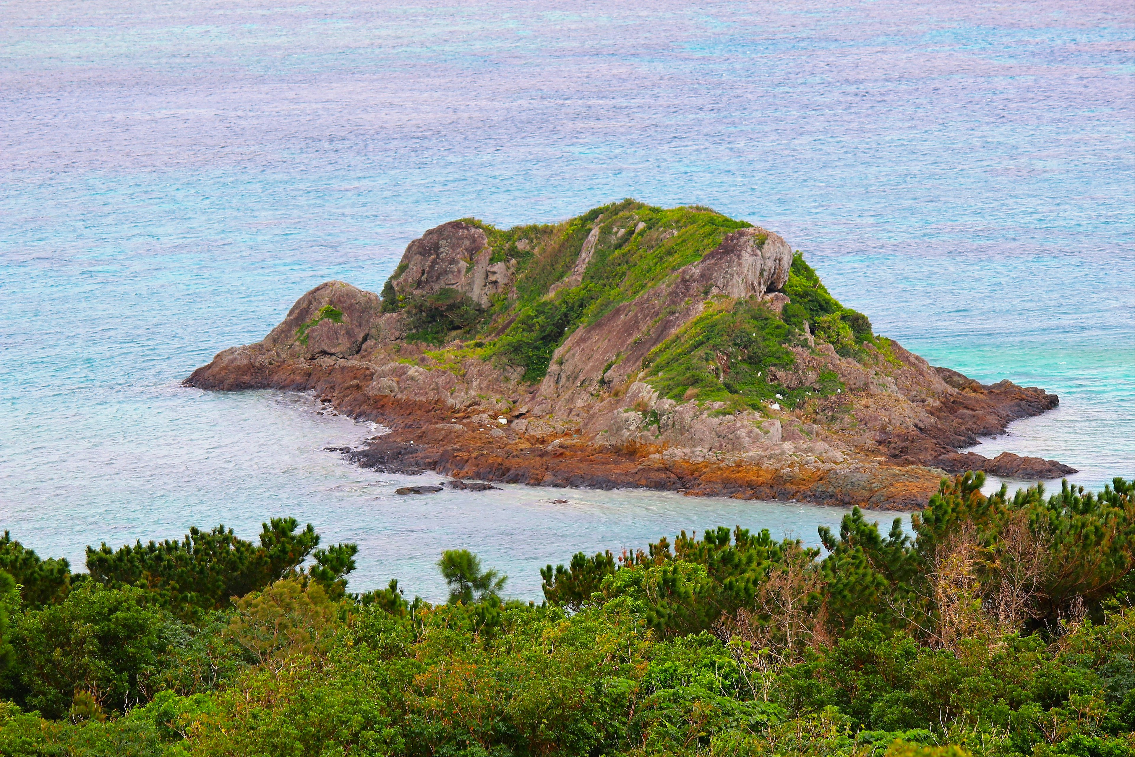 Pequeña isla rocosa rodeada de agua azul cubierta de vegetación verde