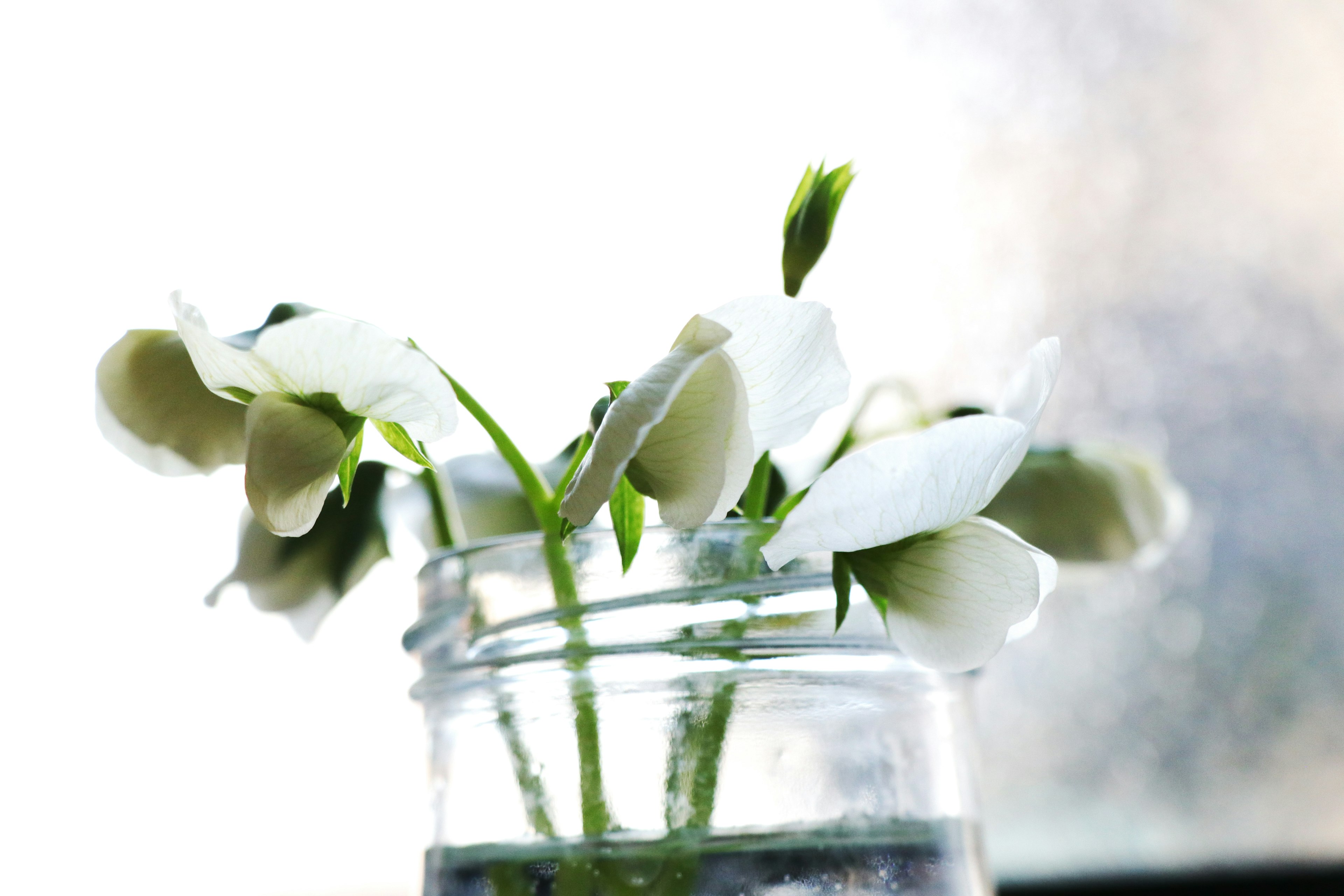 White flowers arranged in a jar filled with water