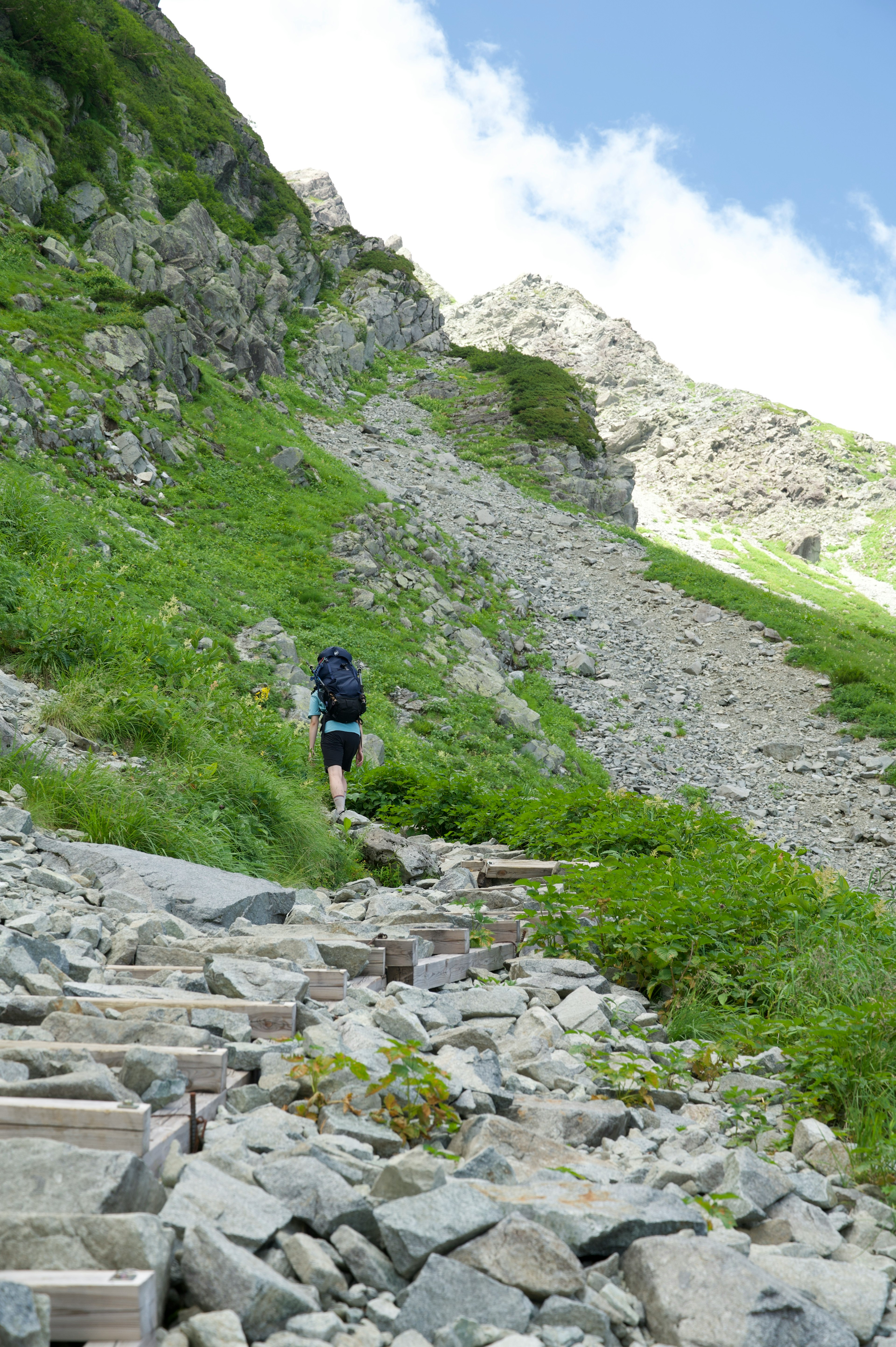 Hiker ascending rocky steps on a green hillside