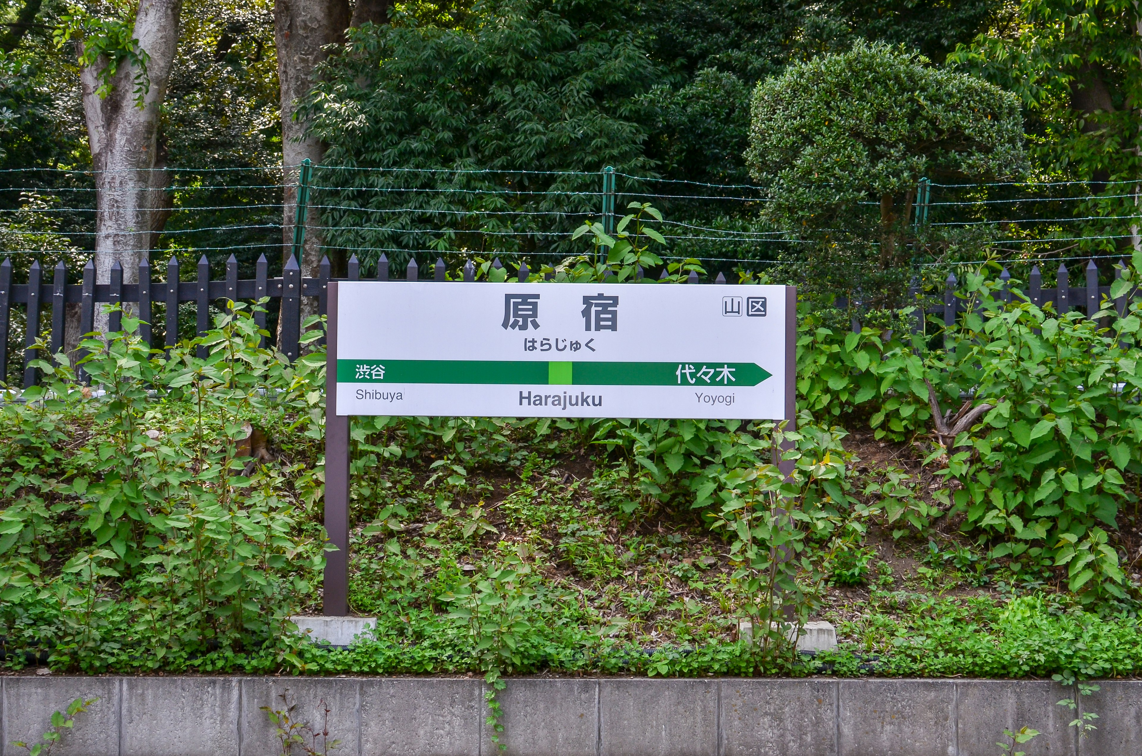 Sign for Harajuku Station surrounded by greenery