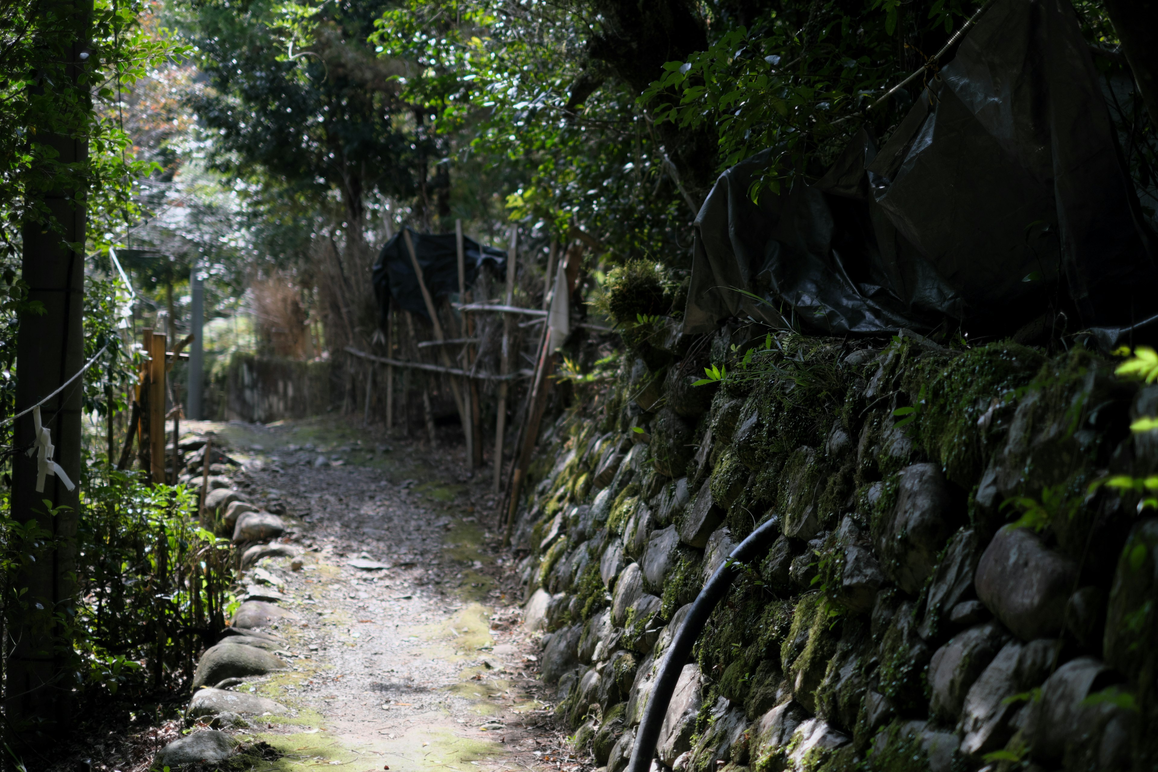 自然に囲まれた小道と石の壁が特徴的な風景