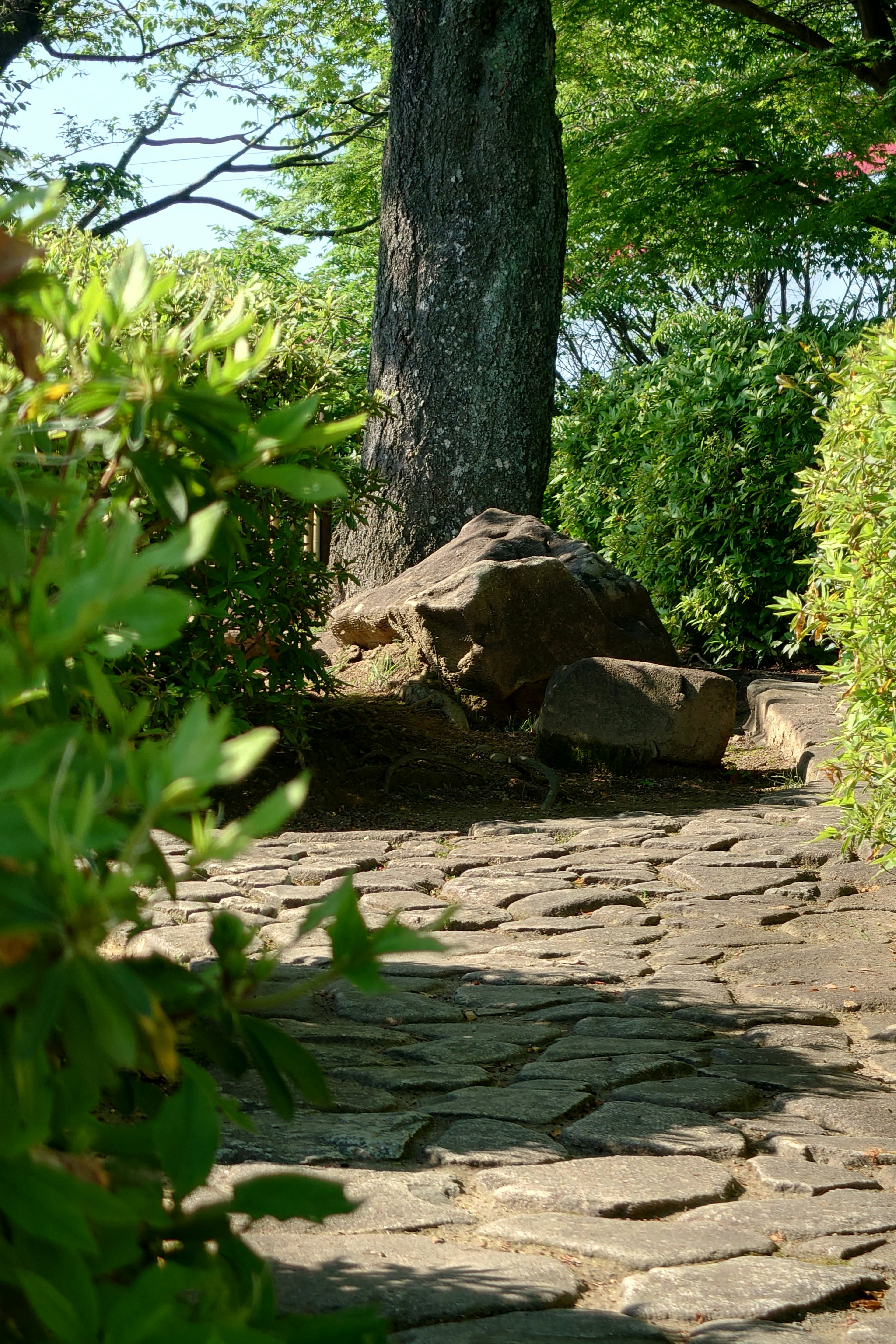 A tranquil garden with a stone path surrounded by greenery