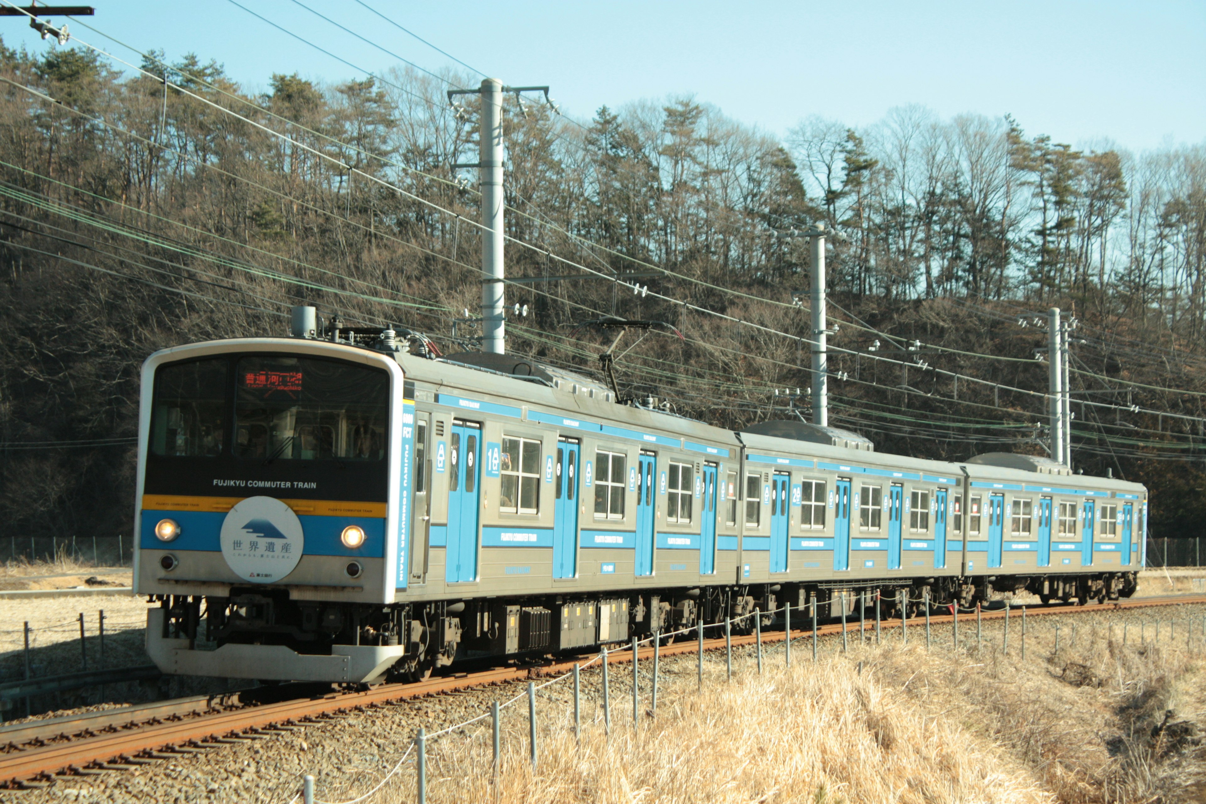 Blauer Zug fährt auf Gleisen, umgeben von Bäumen