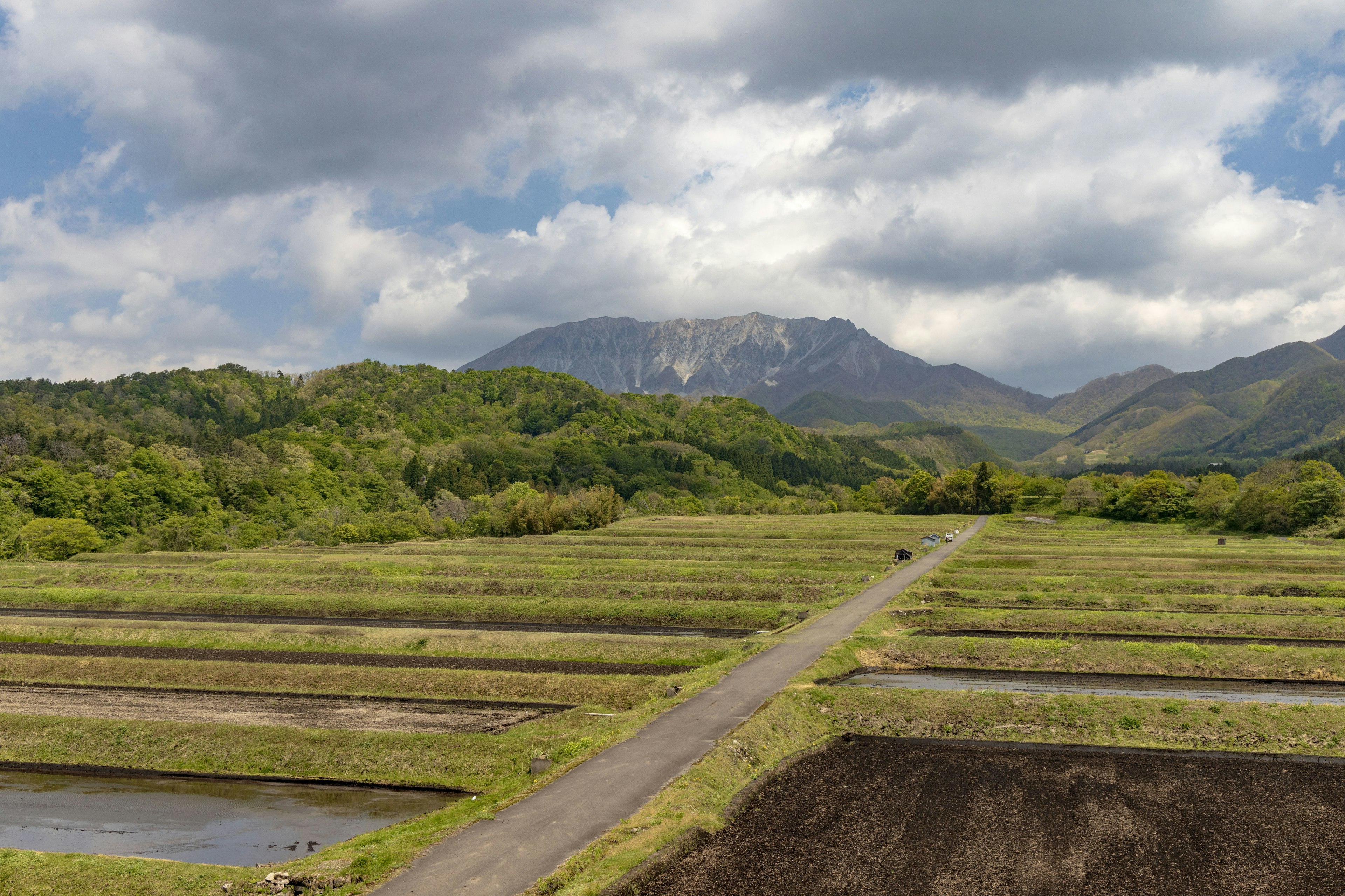 緑豊かな田園風景と山々の背景に広がる水田