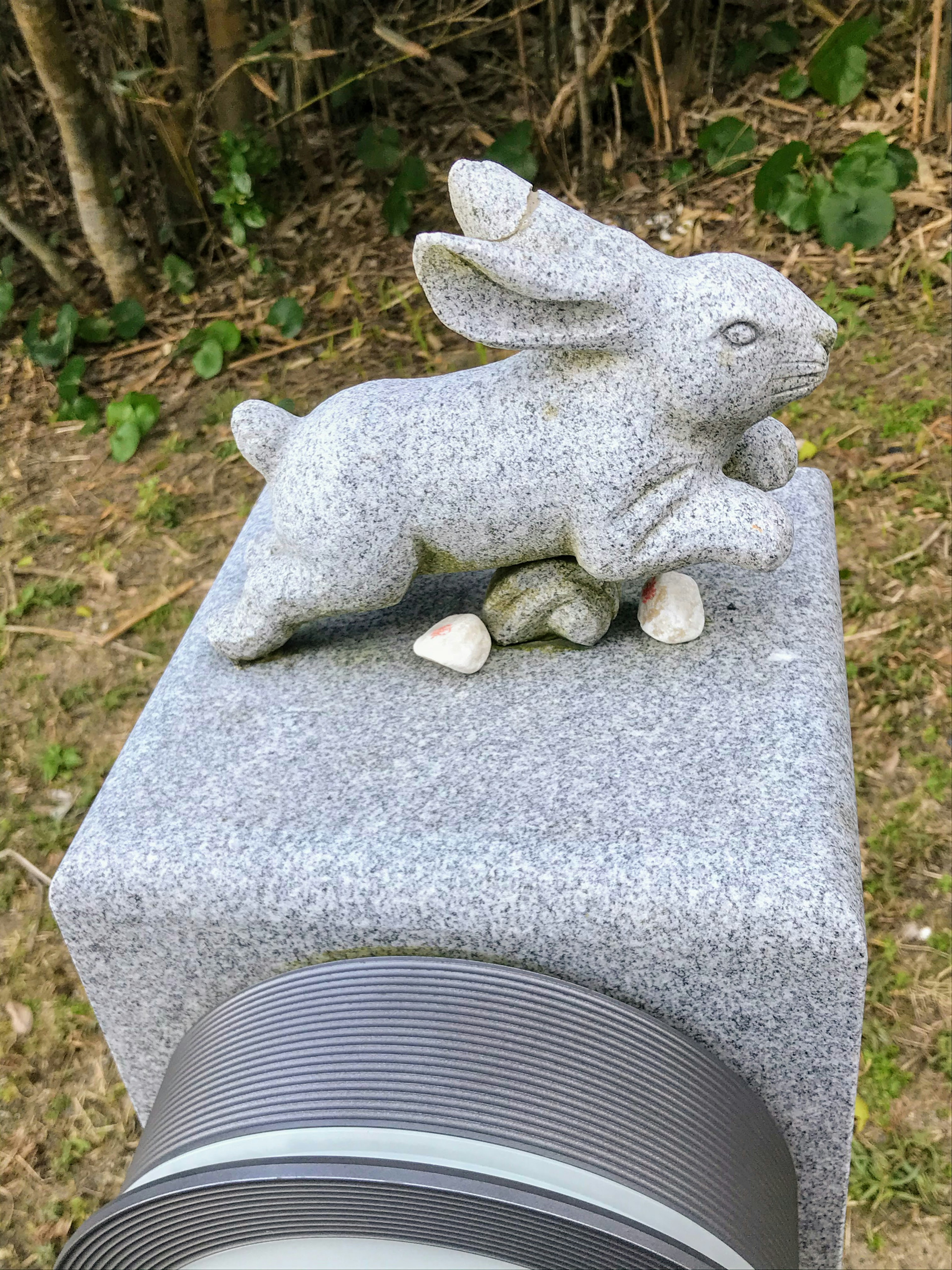 Stone rabbit sculpture on a pedestal with a camera lens in foreground