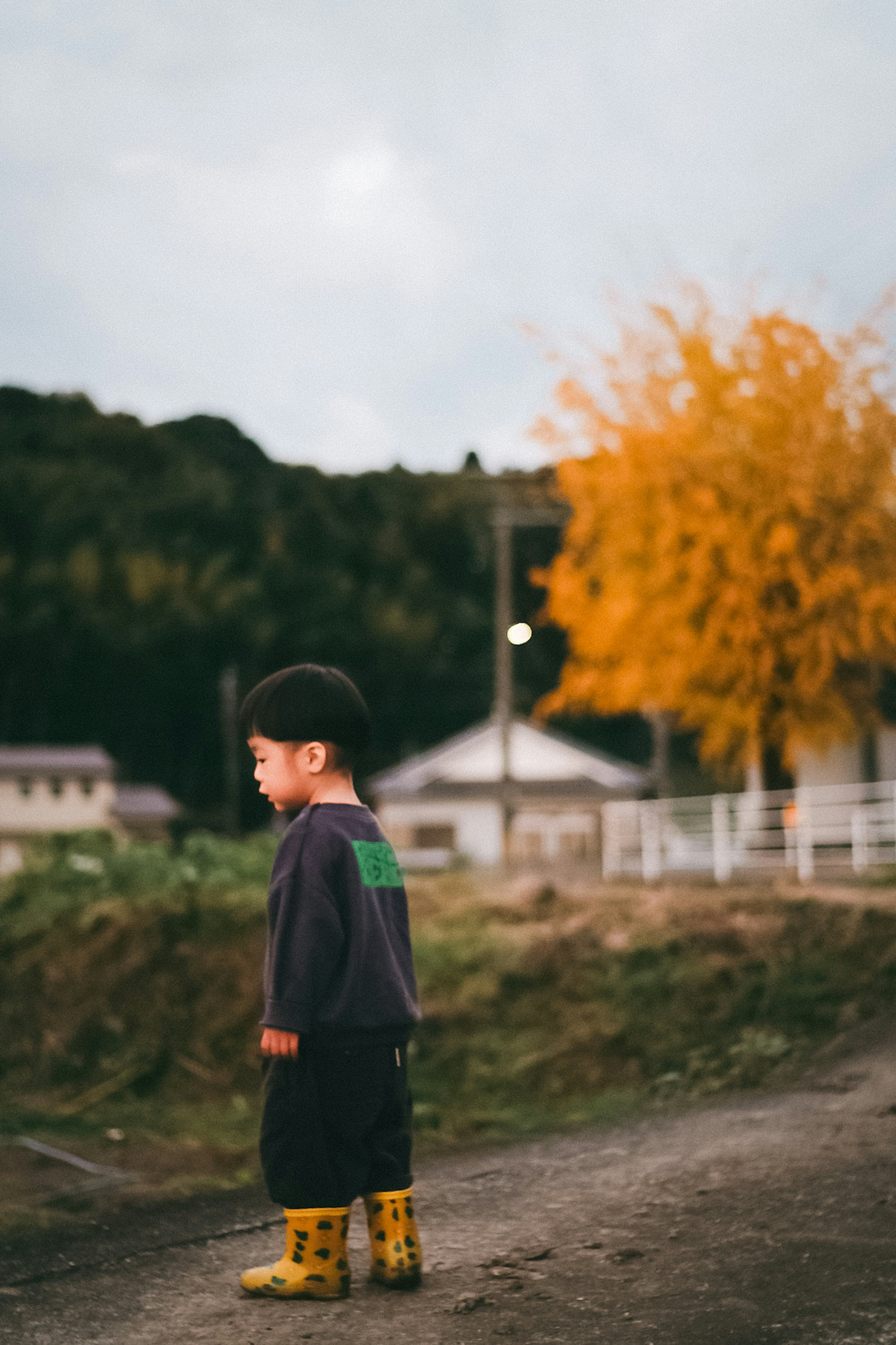 Enfant se tenant dans un paysage d'automne portant des bottes jaunes arbre orange en arrière-plan