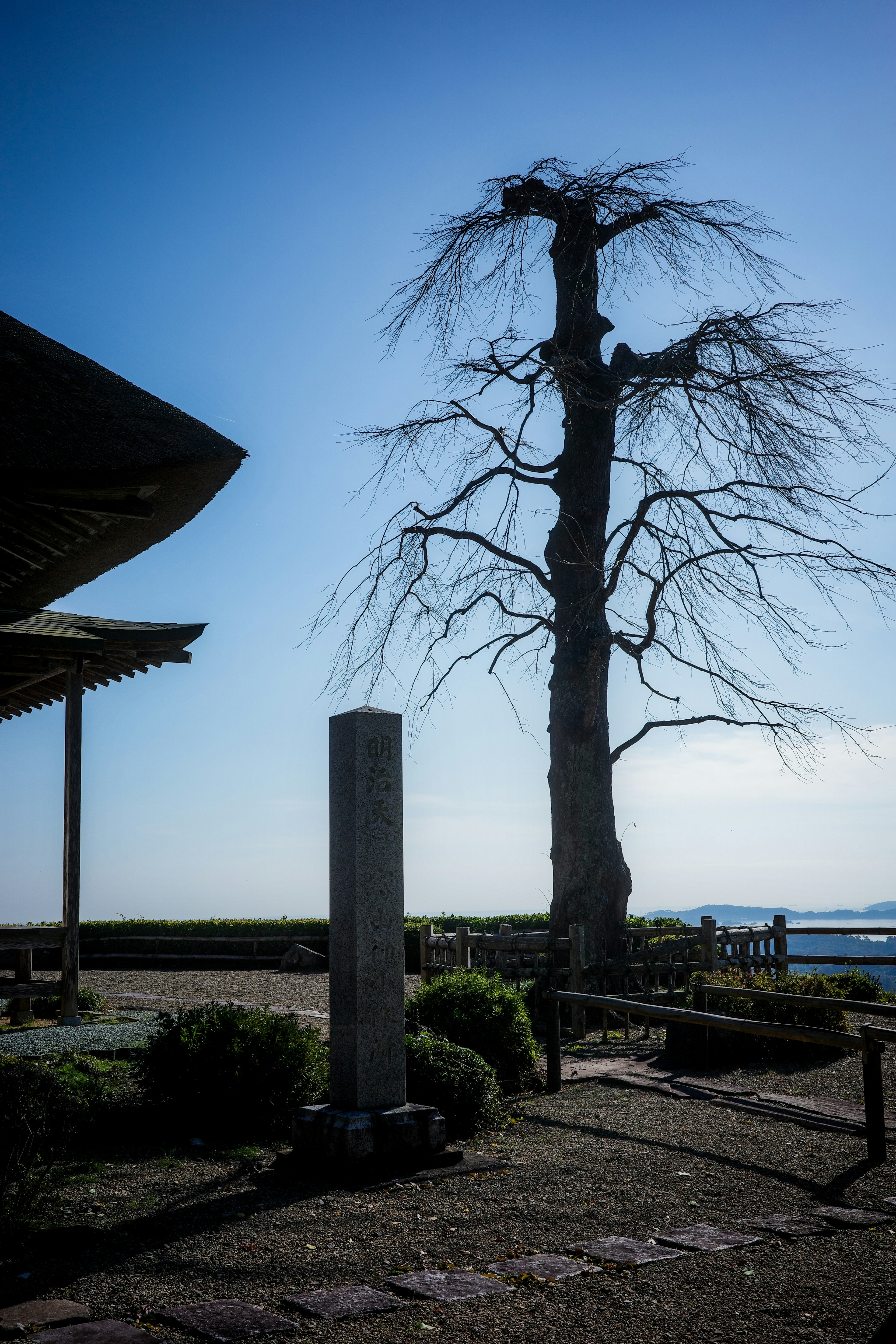 A barren tree and a stone pillar against a clear blue sky