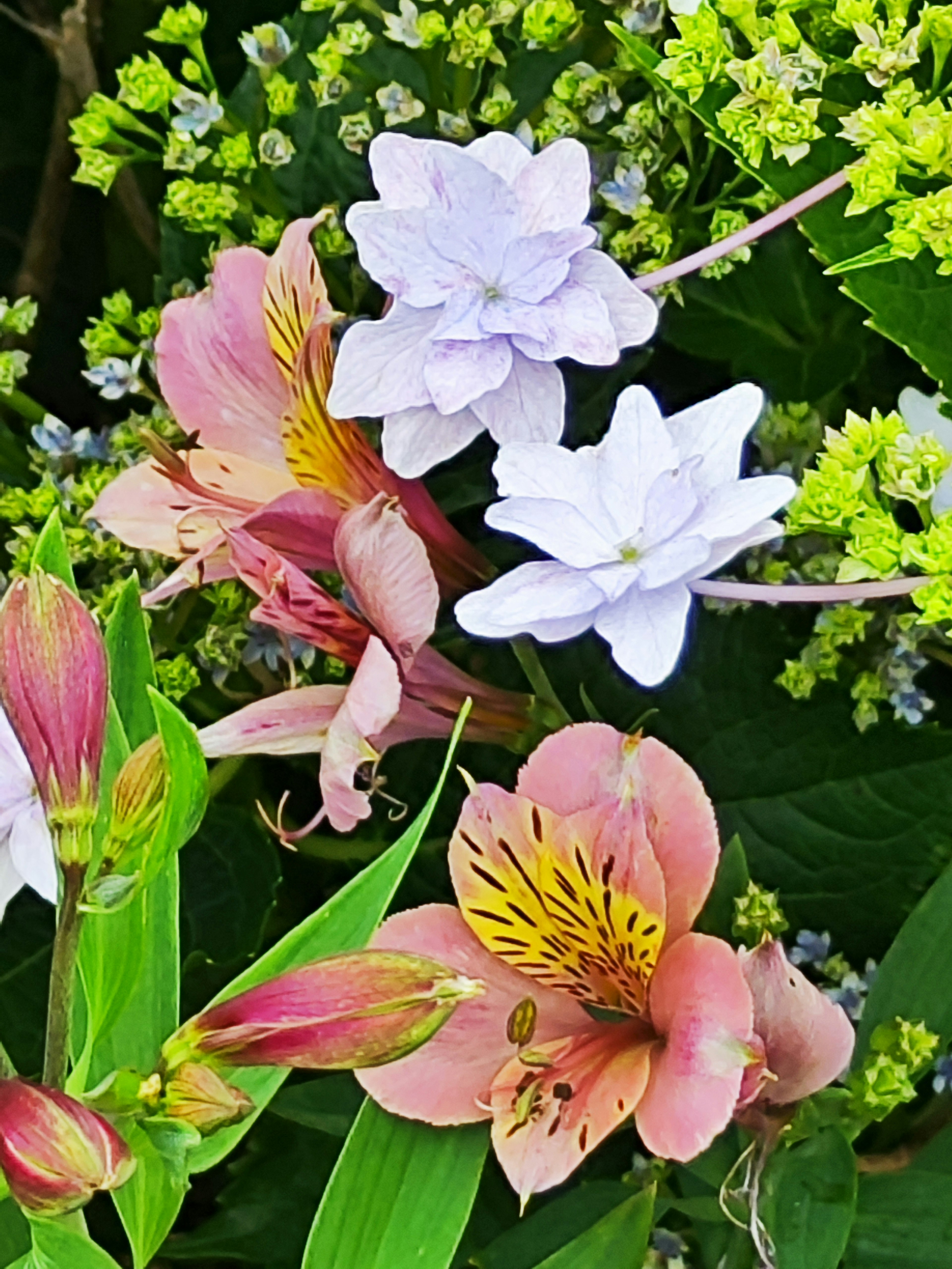 A beautiful arrangement of colorful flowers featuring pink and white blooms