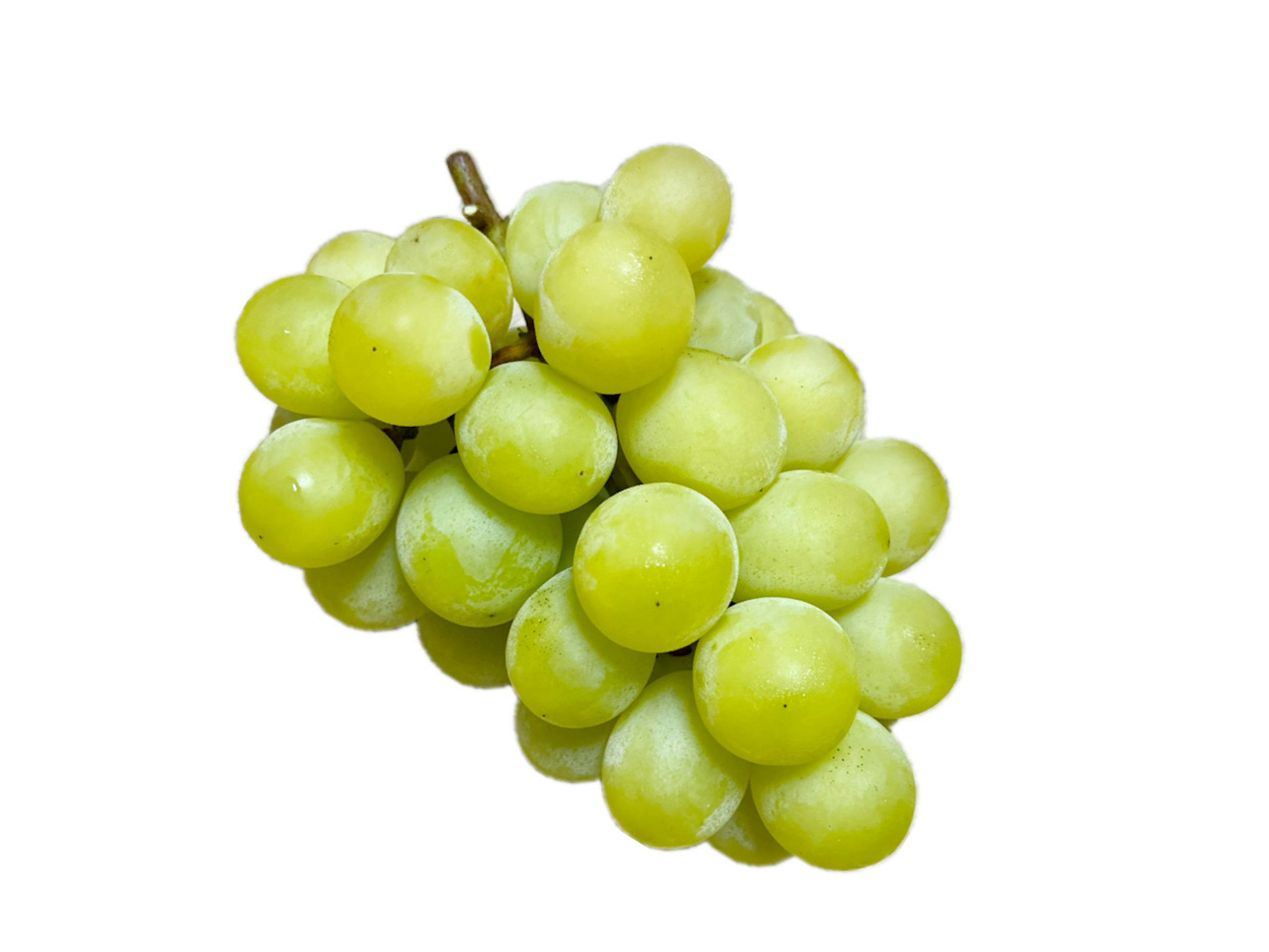 A cluster of green grapes on a white background